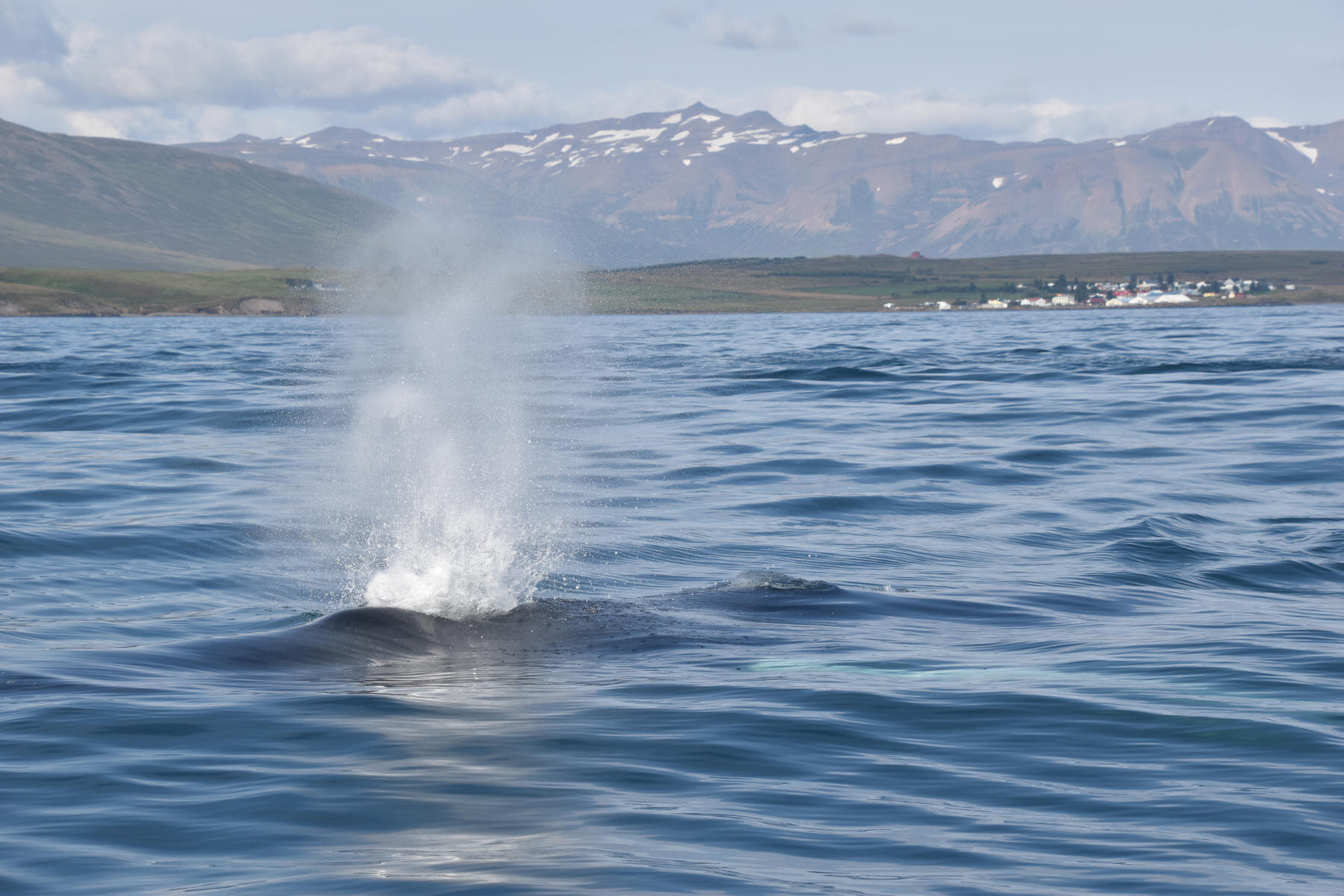 Wednesday, 1 September 2021