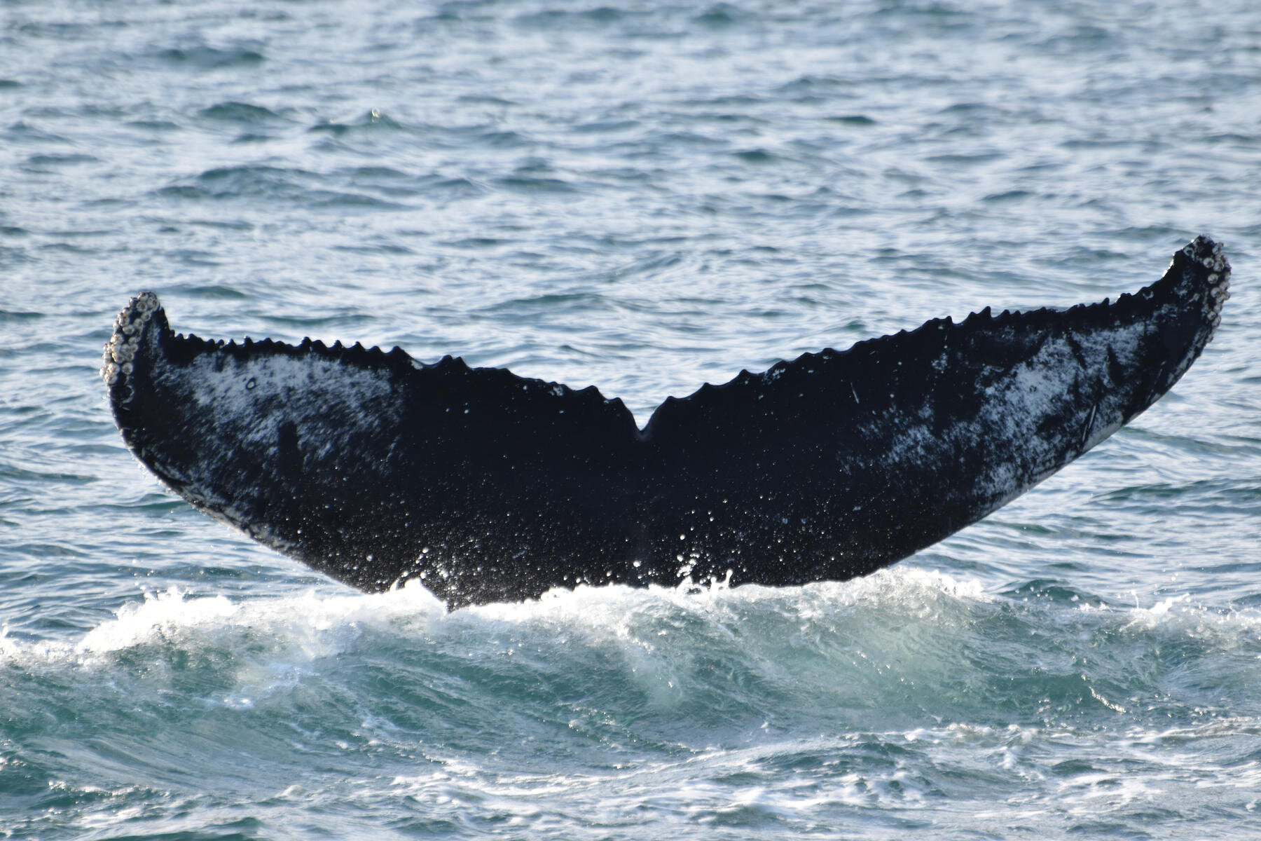 Wednesday, 1 September 2021