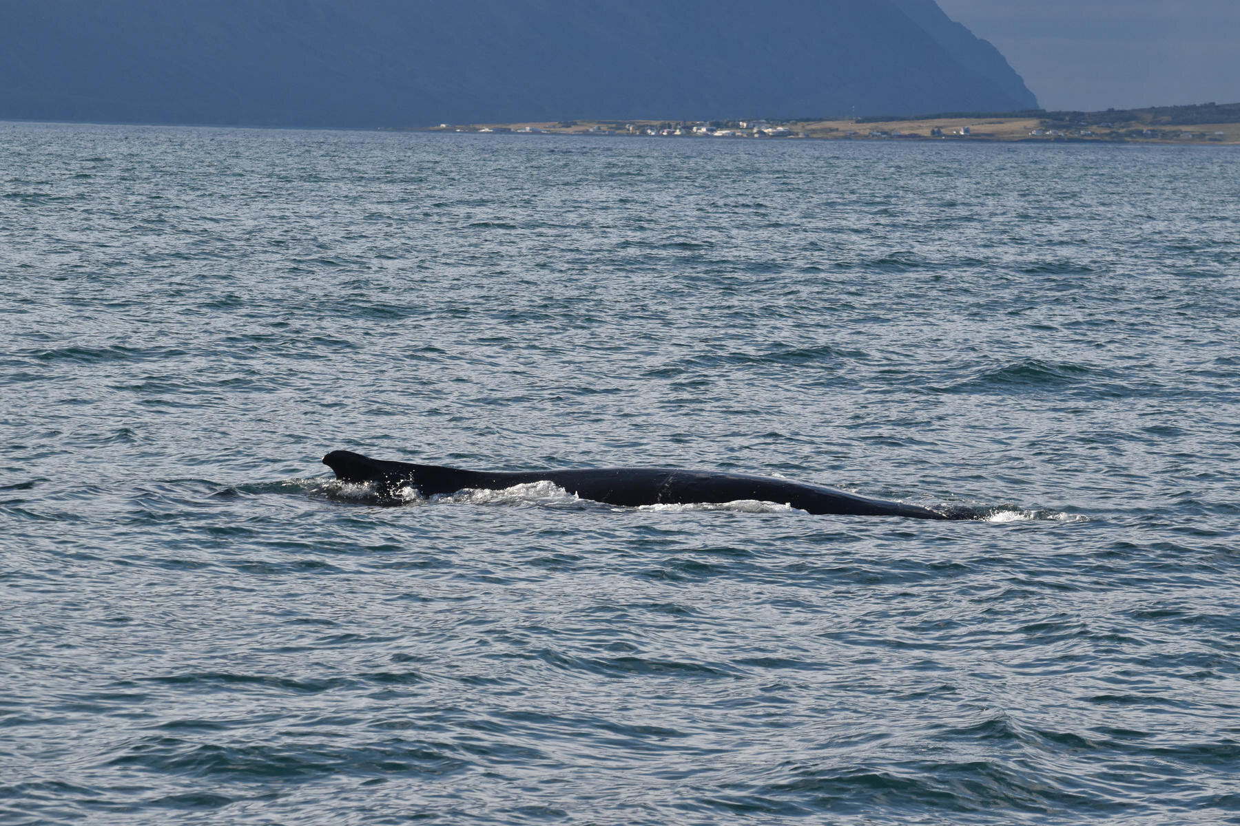 Wednesday, 1 September 2021