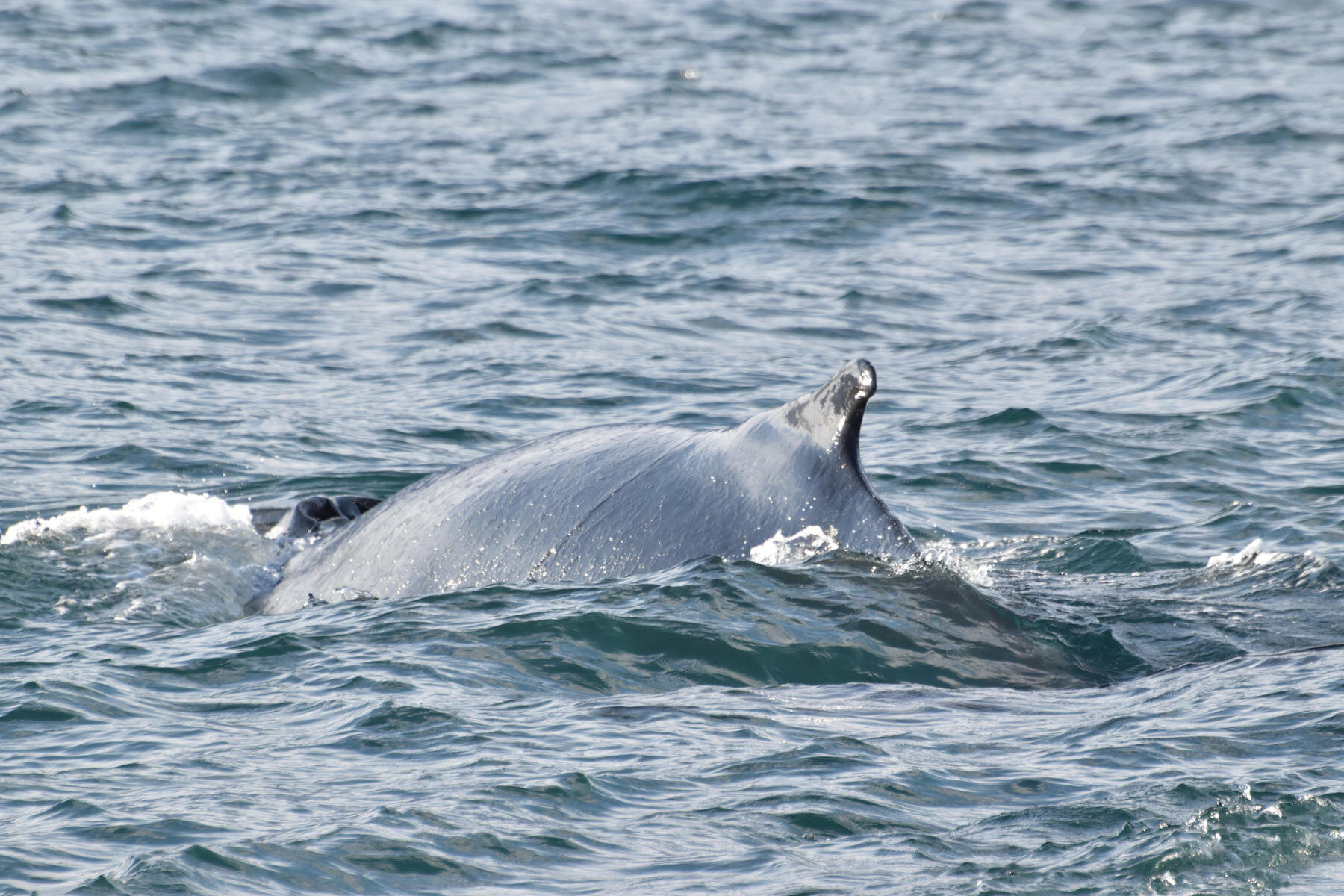 Wednesday, 1 September 2021