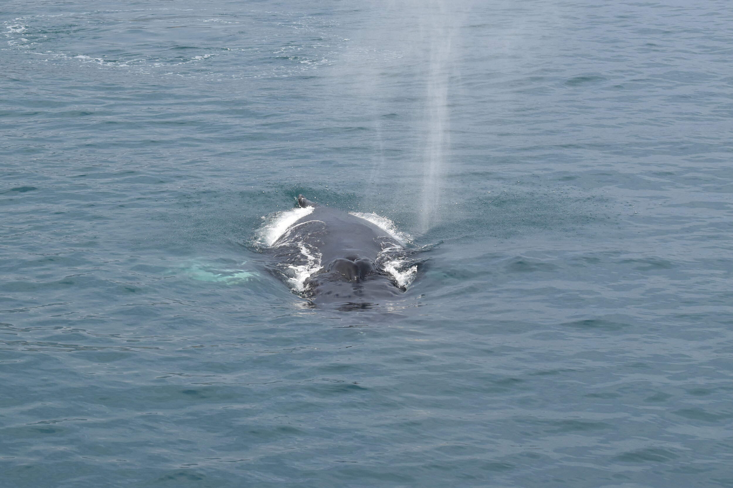 Thursday, 2 September 2021