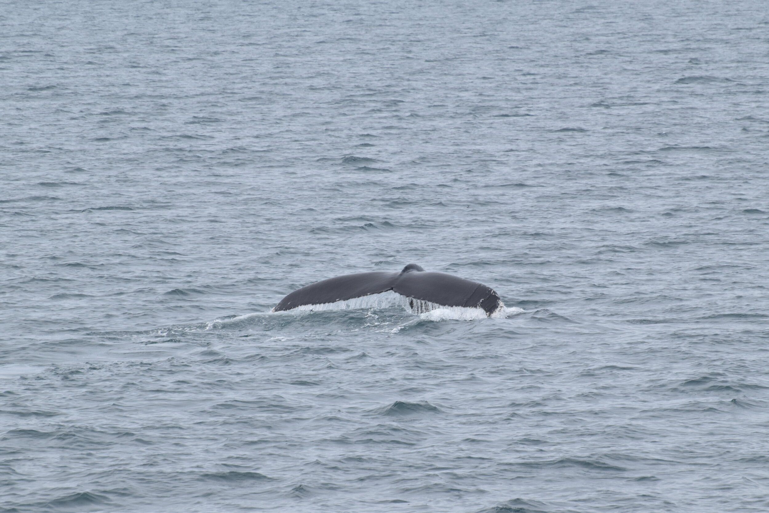 Thursday, 2 September 2021