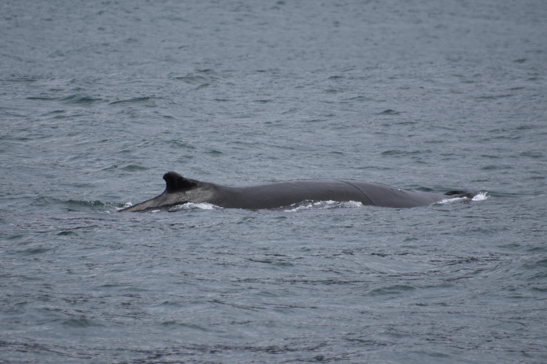 Tuesday, 7 September 2021