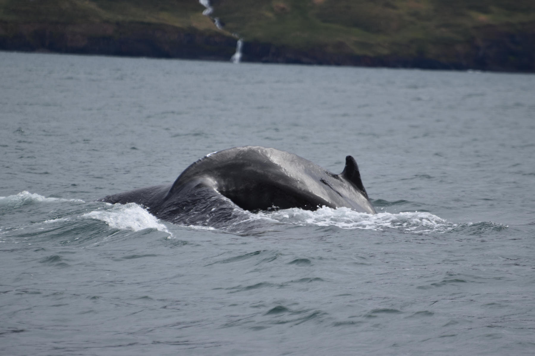 Tuesday, 7 September 2021