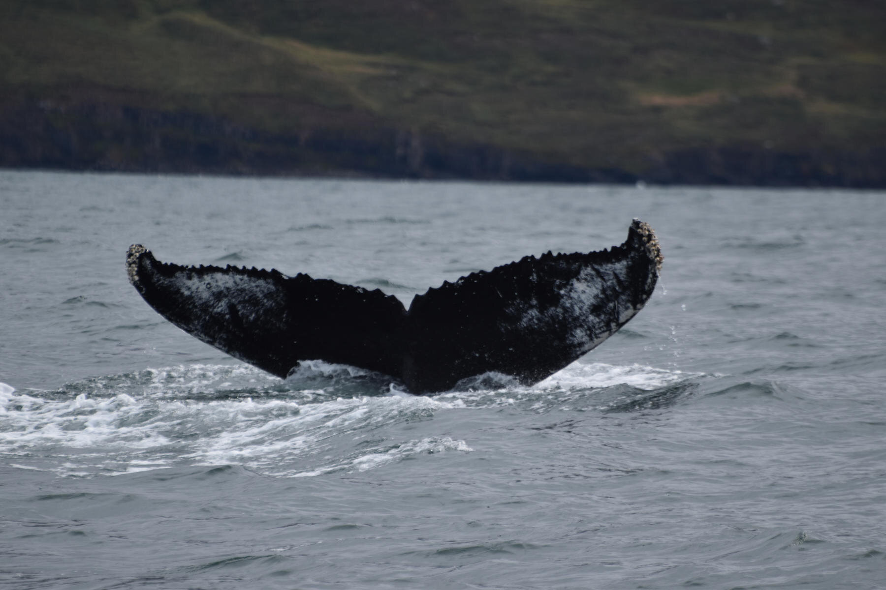 Tuesday, 7 September 2021