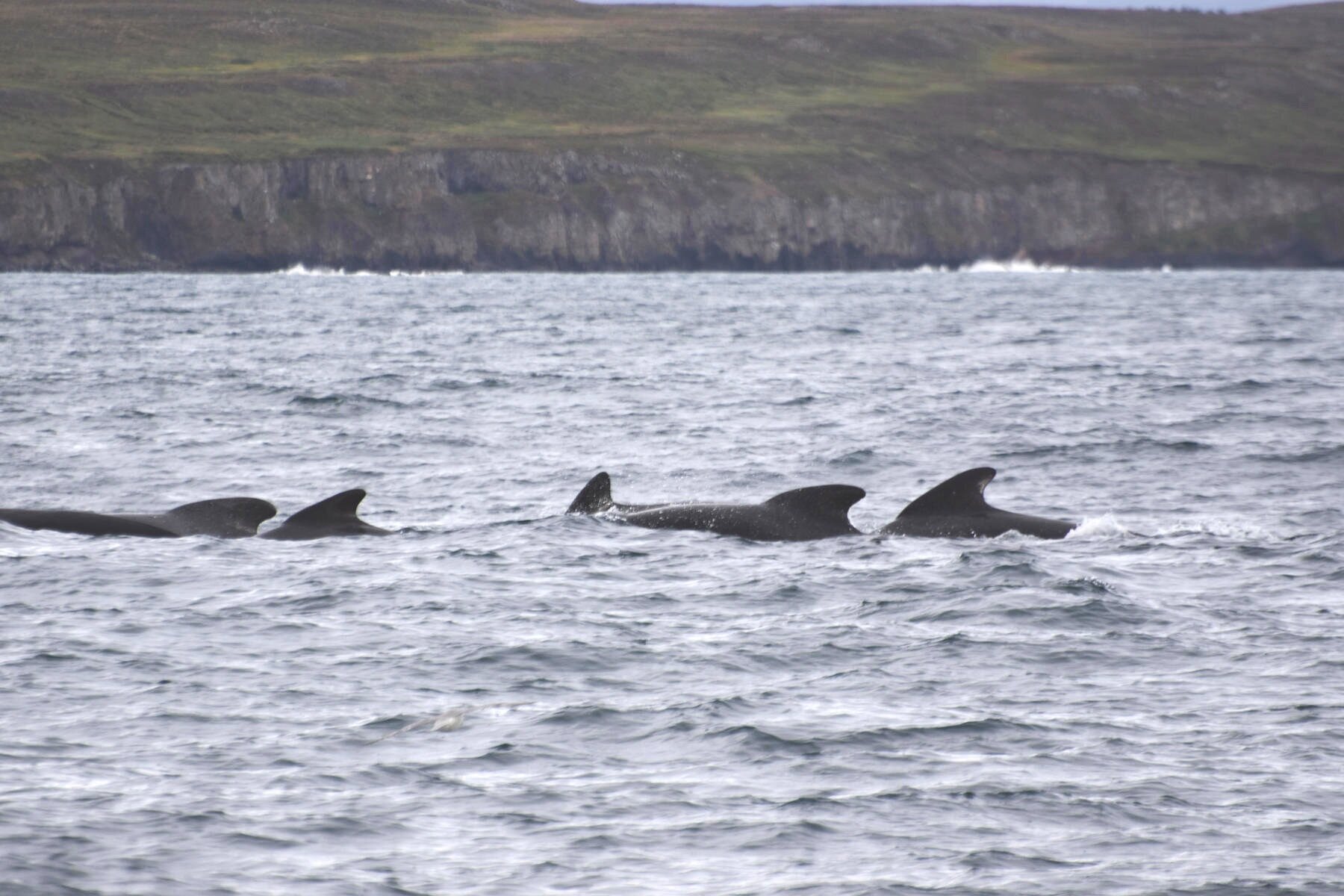 Tuesday, 7 September 2021
