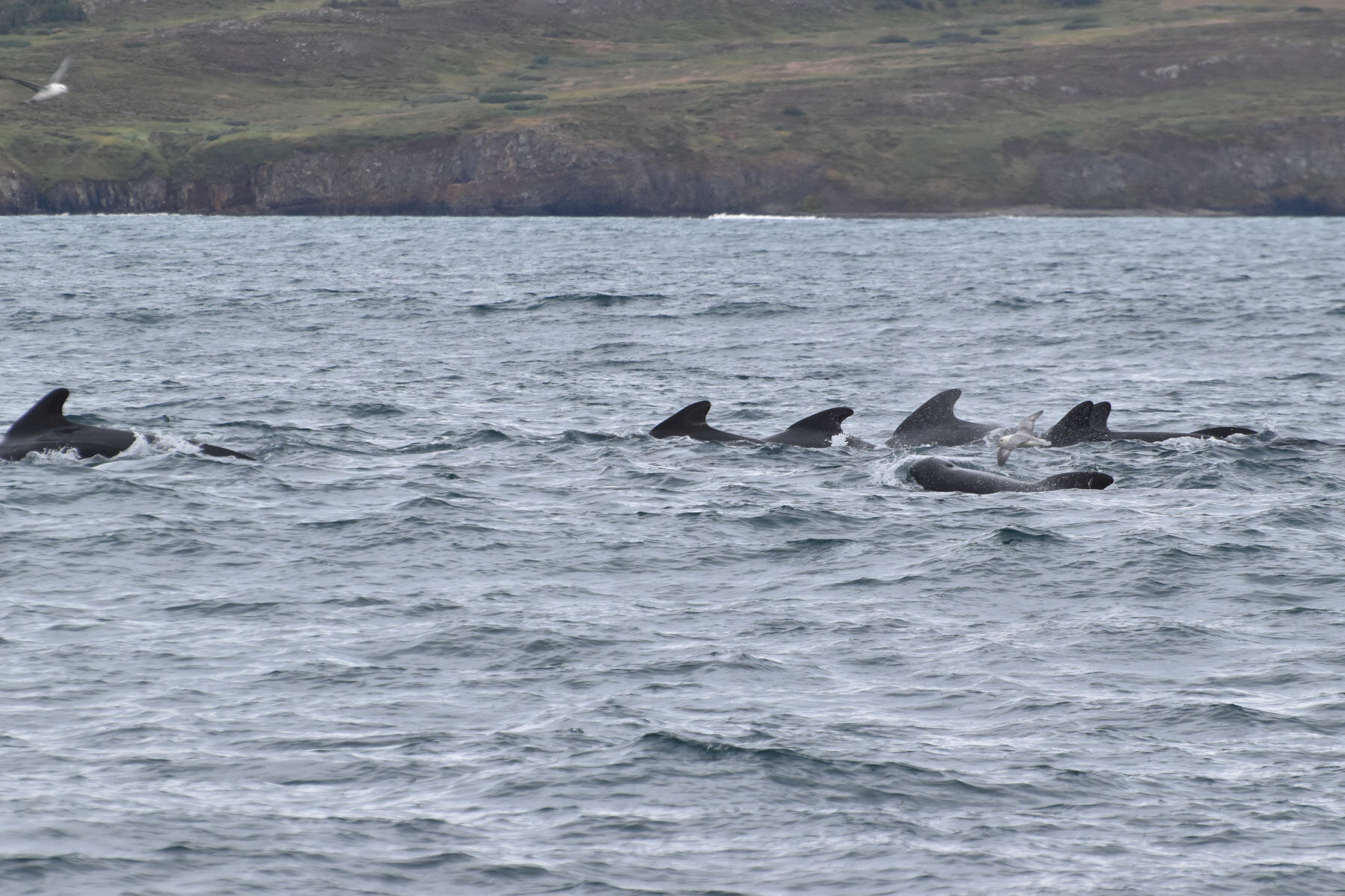 Tuesday, 7 September 2021