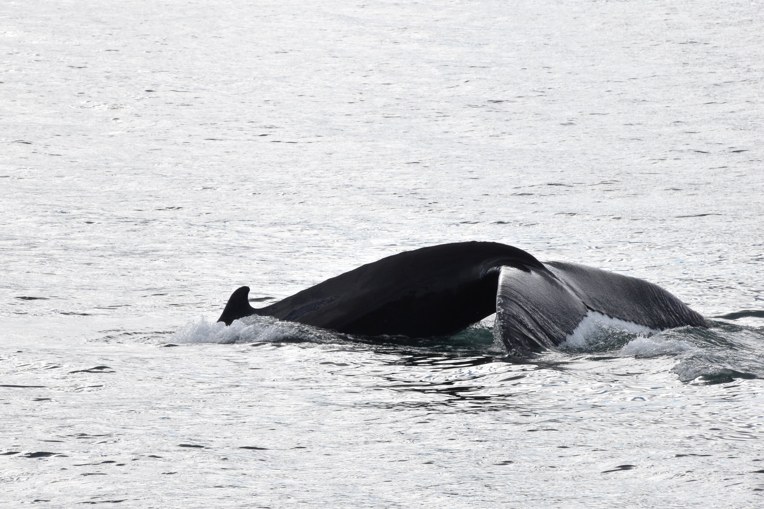 Wednesday, 8 September 2021