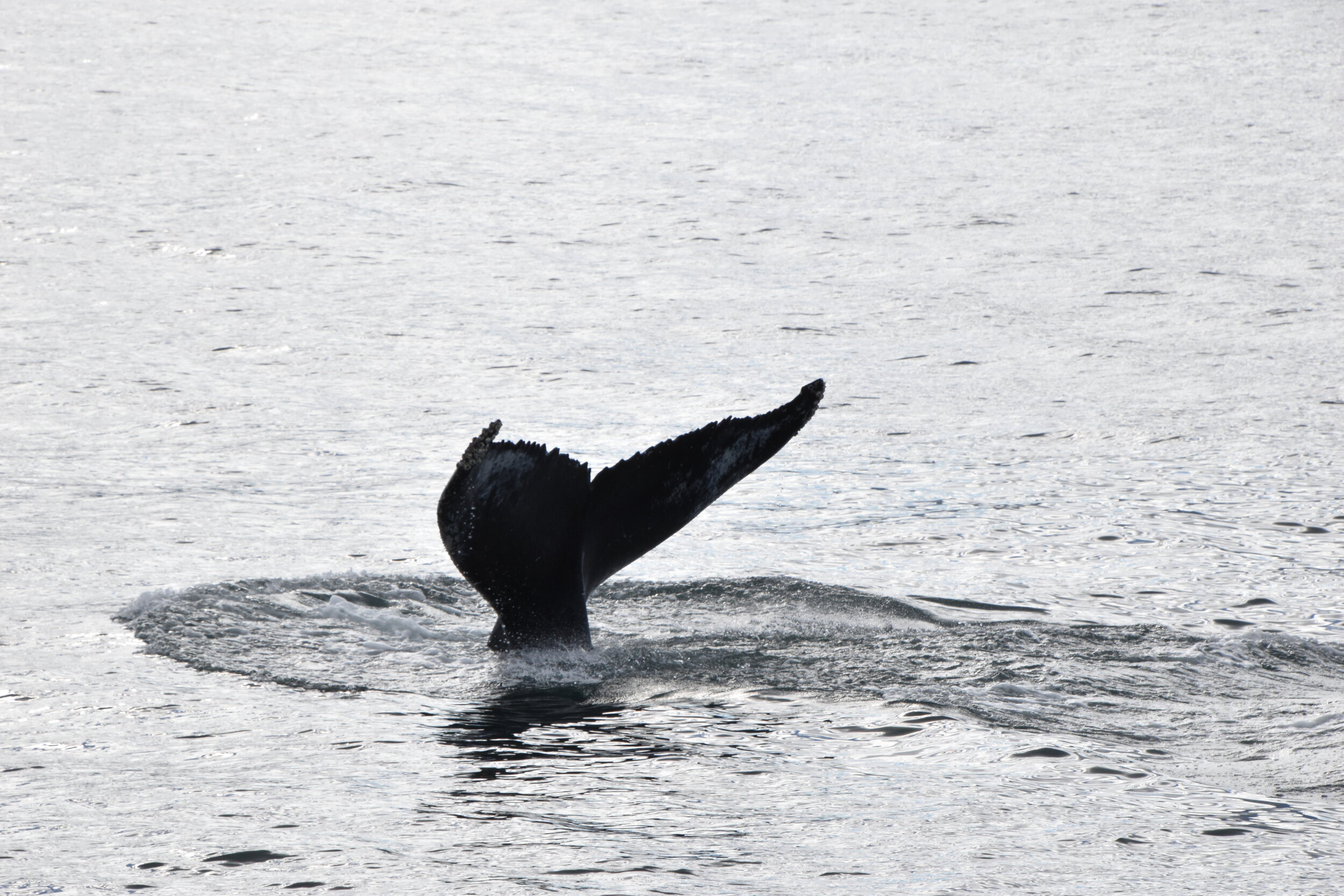 Wednesday, 8 September 2021