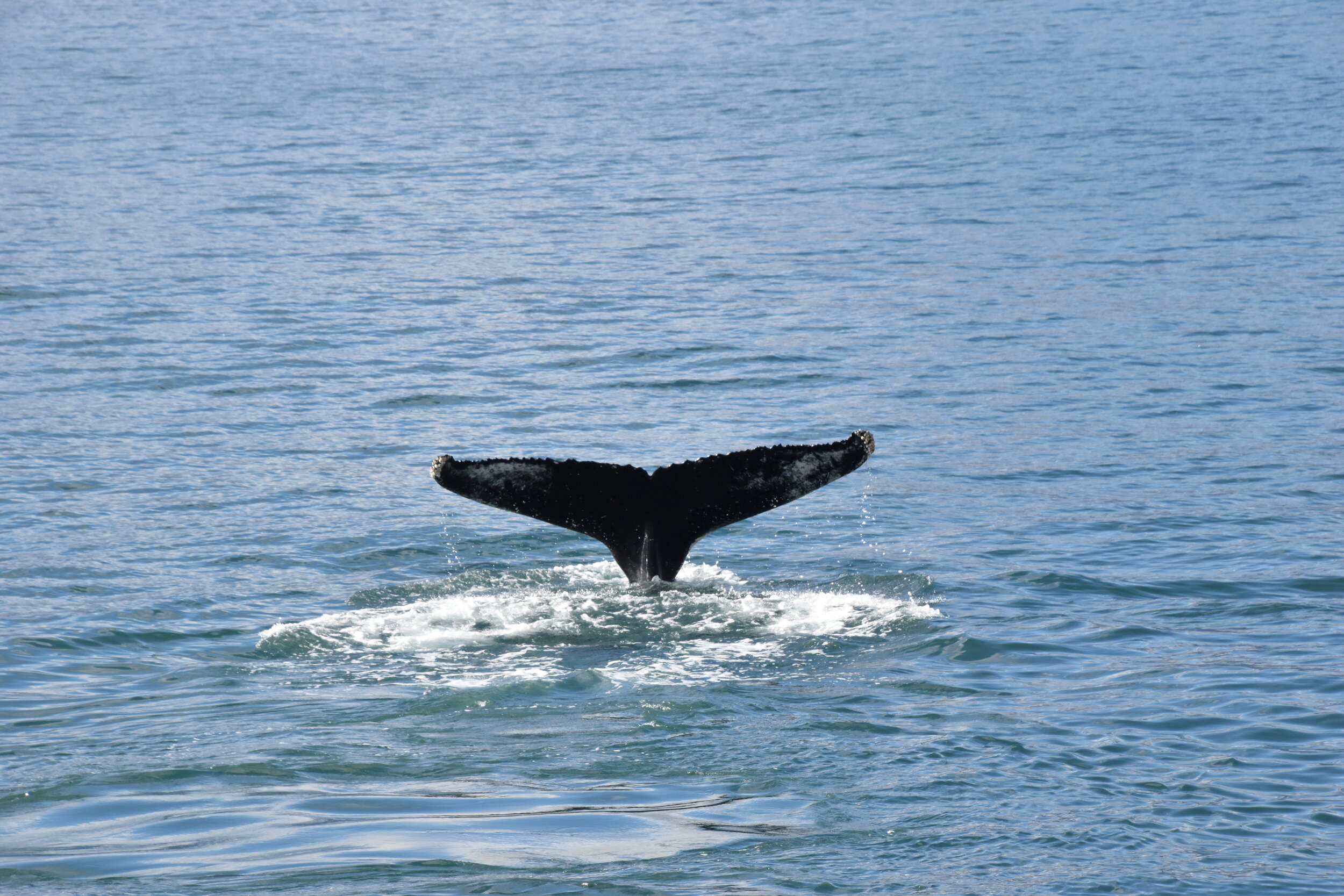 Wednesday, 8 September 2021