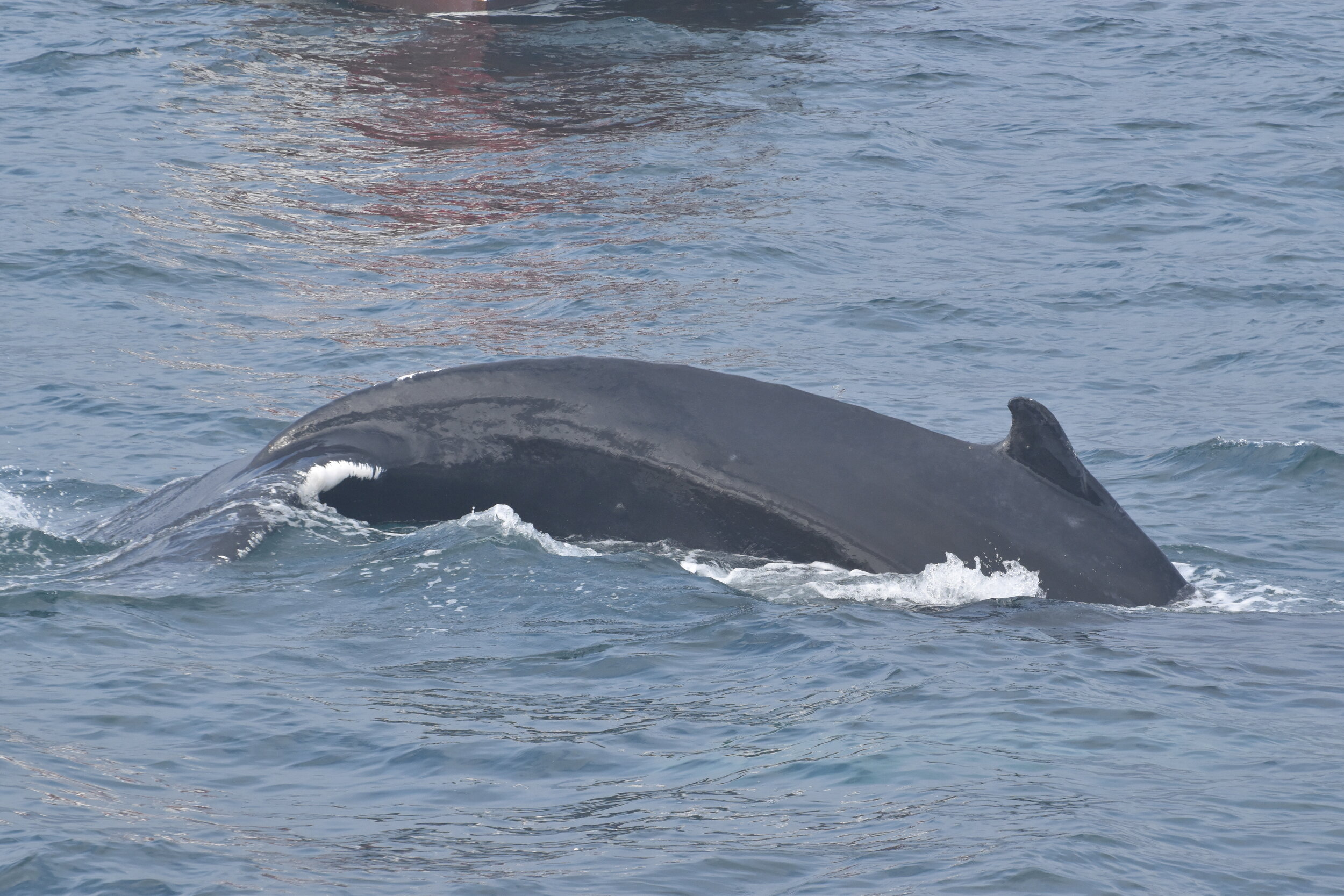 Friday, 10 September 2021