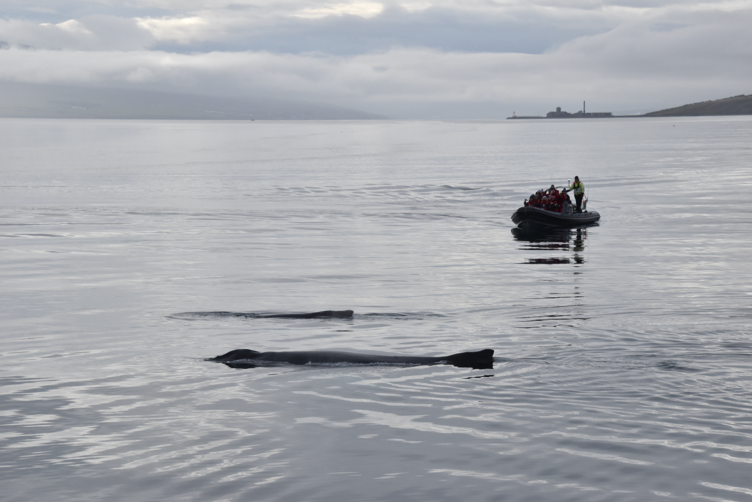 Saturday, 11 September 2021
