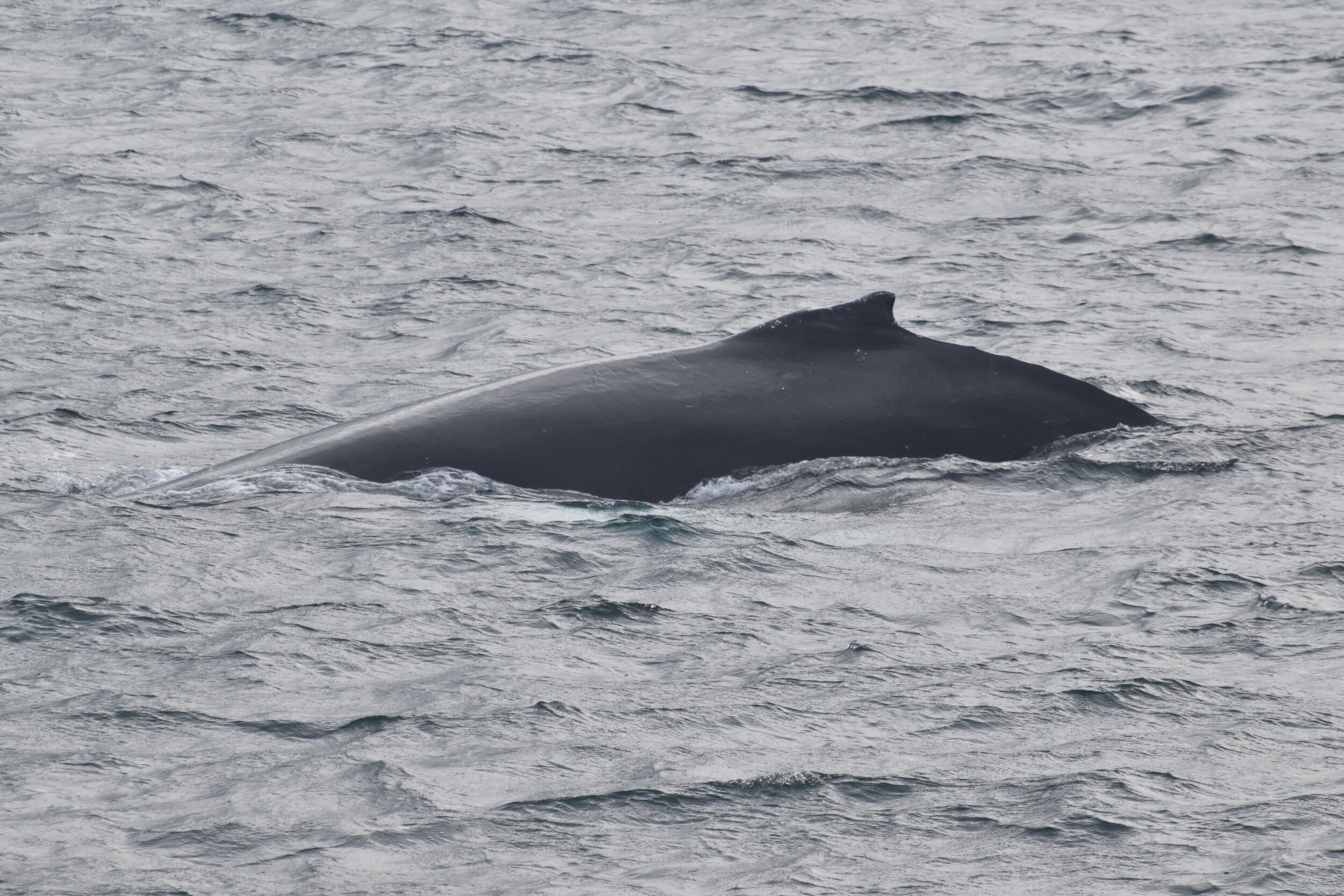 Tuesday, 14 September 2021