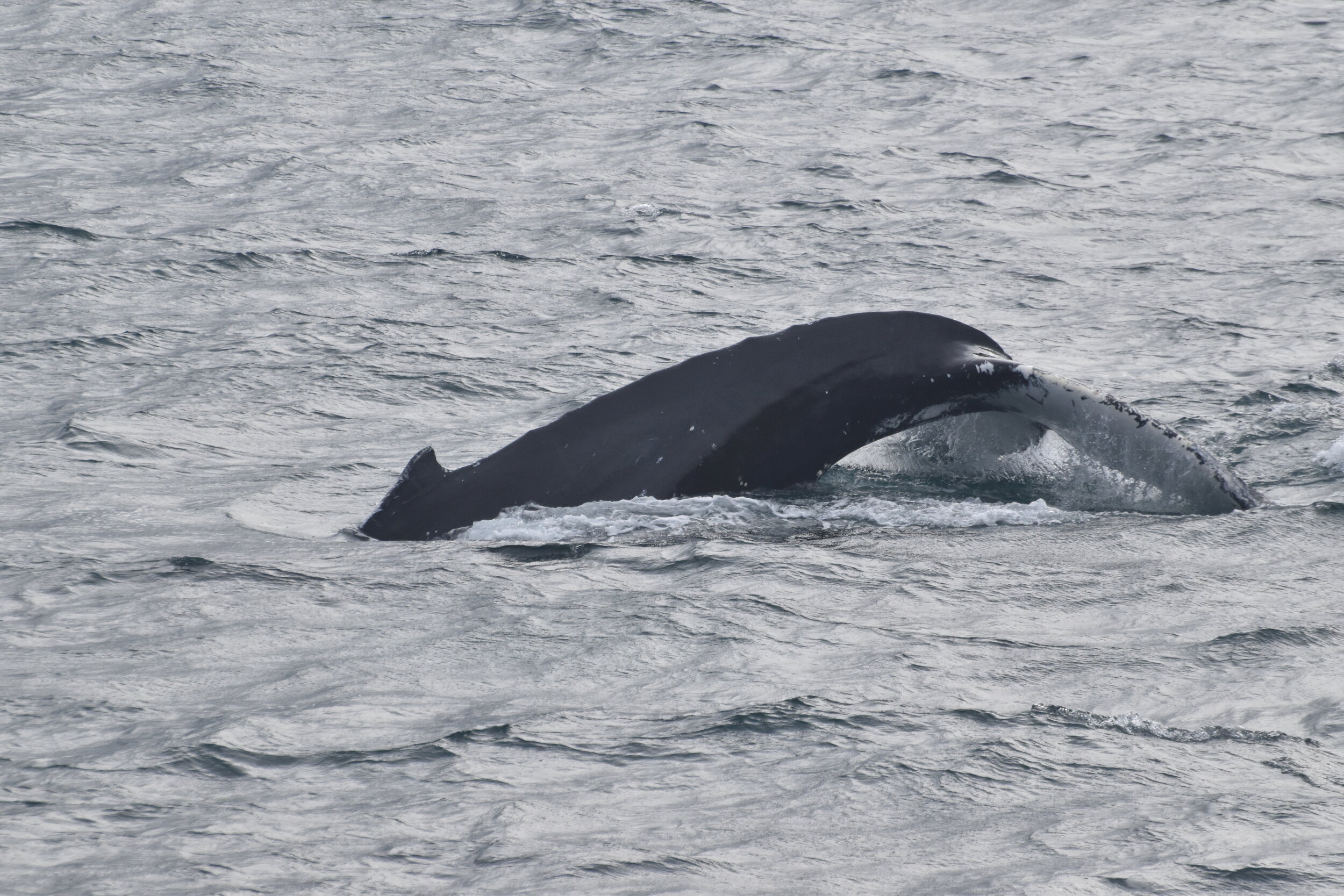 Tuesday, 14 September 2021