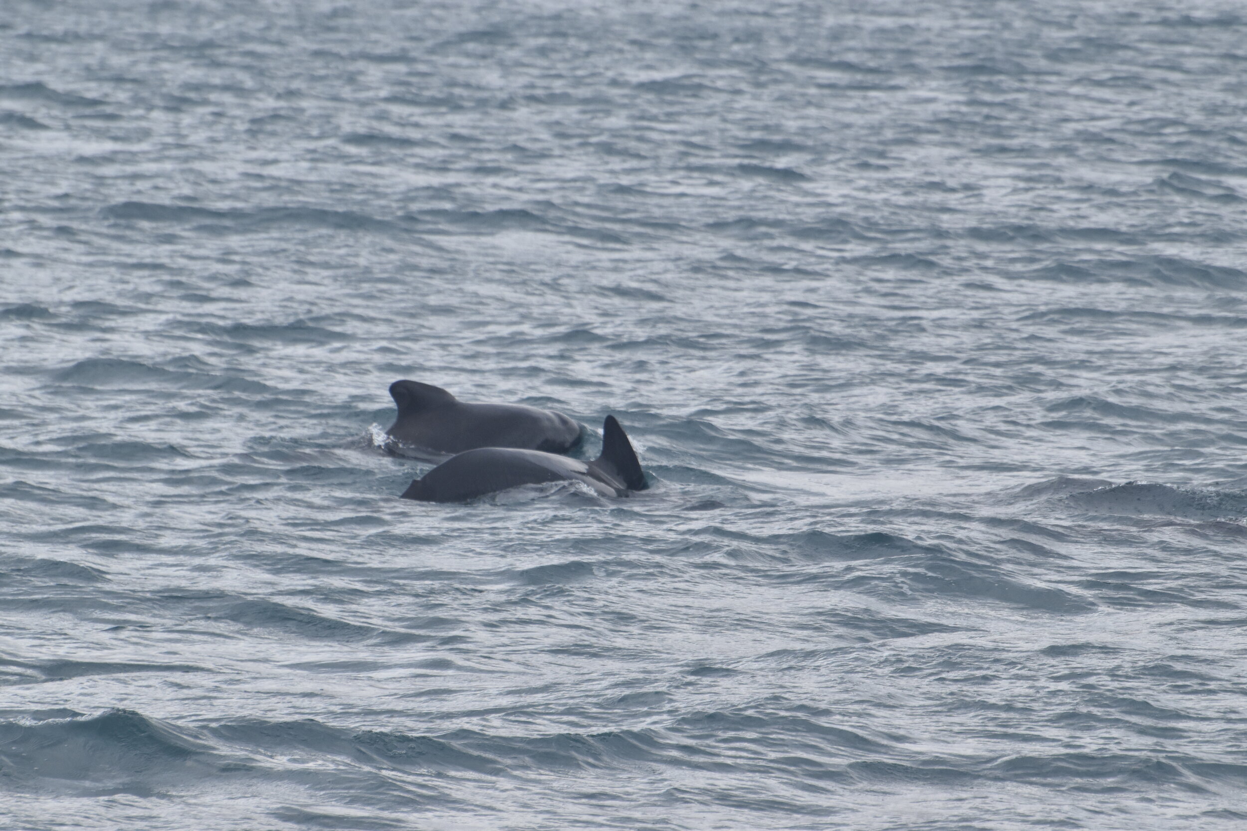 Tuesday, 14 September 2021