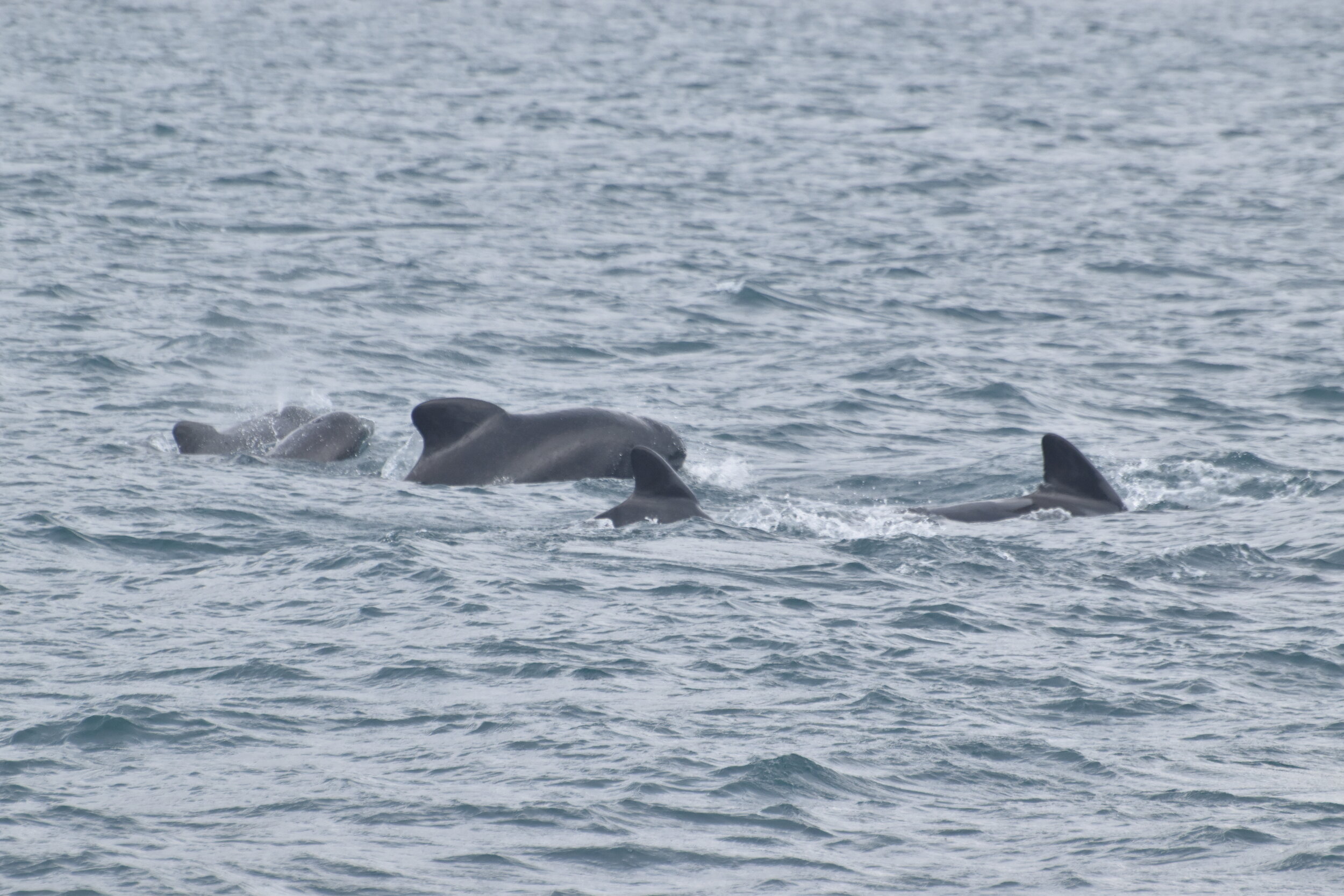 Tuesday, 14 September 2021