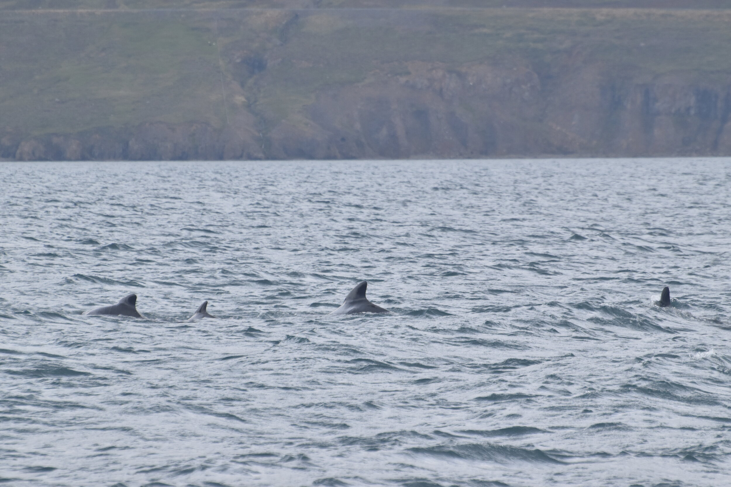 Tuesday, 14 September 2021