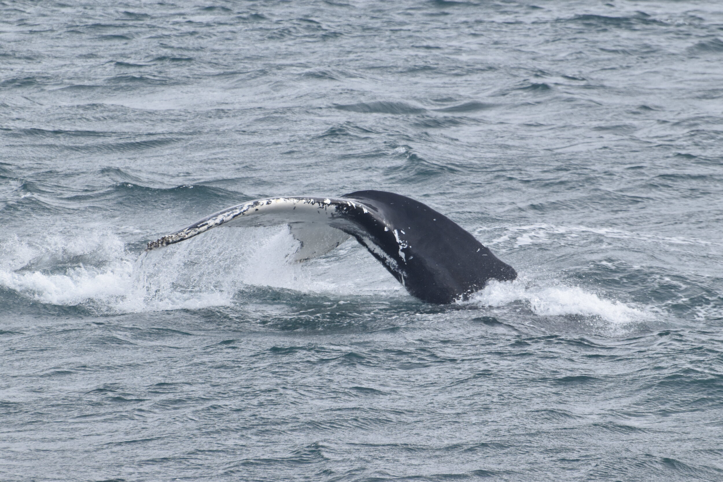 Tuesday, 14 September 2021