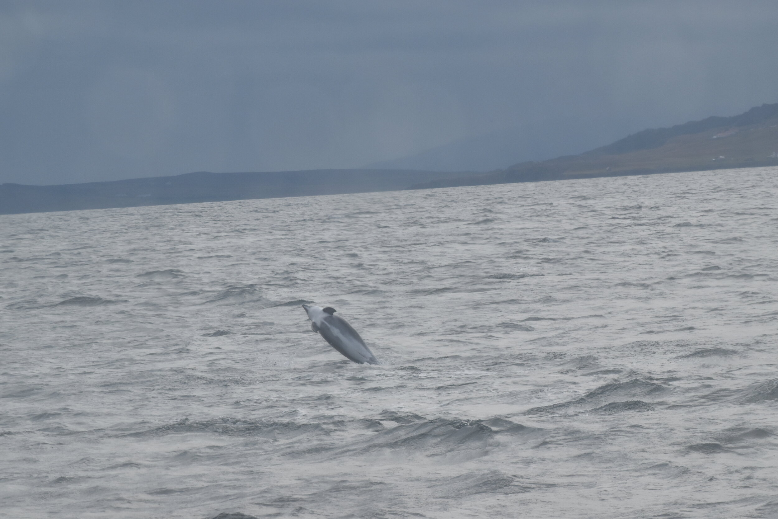 Friday, 17 September 2021