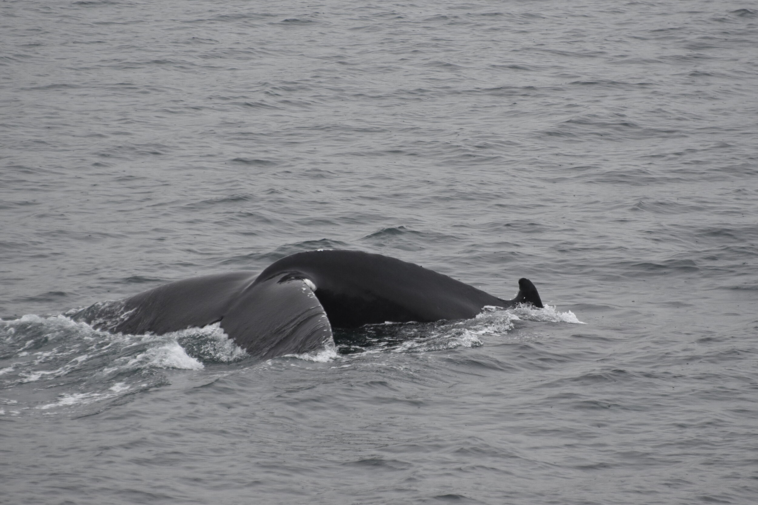 Tuesday, 21 September 2021