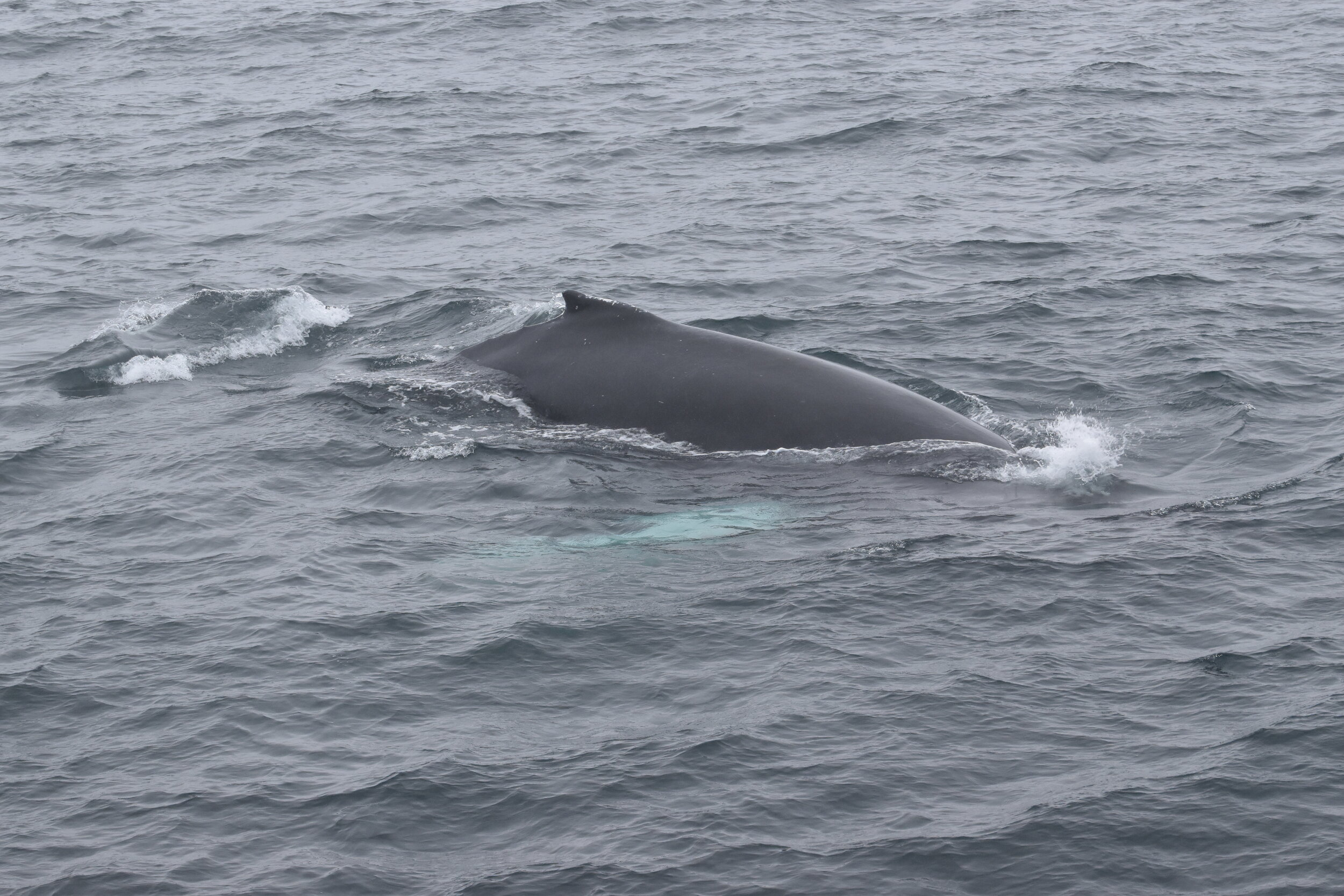 Tuesday, 21 September 2021