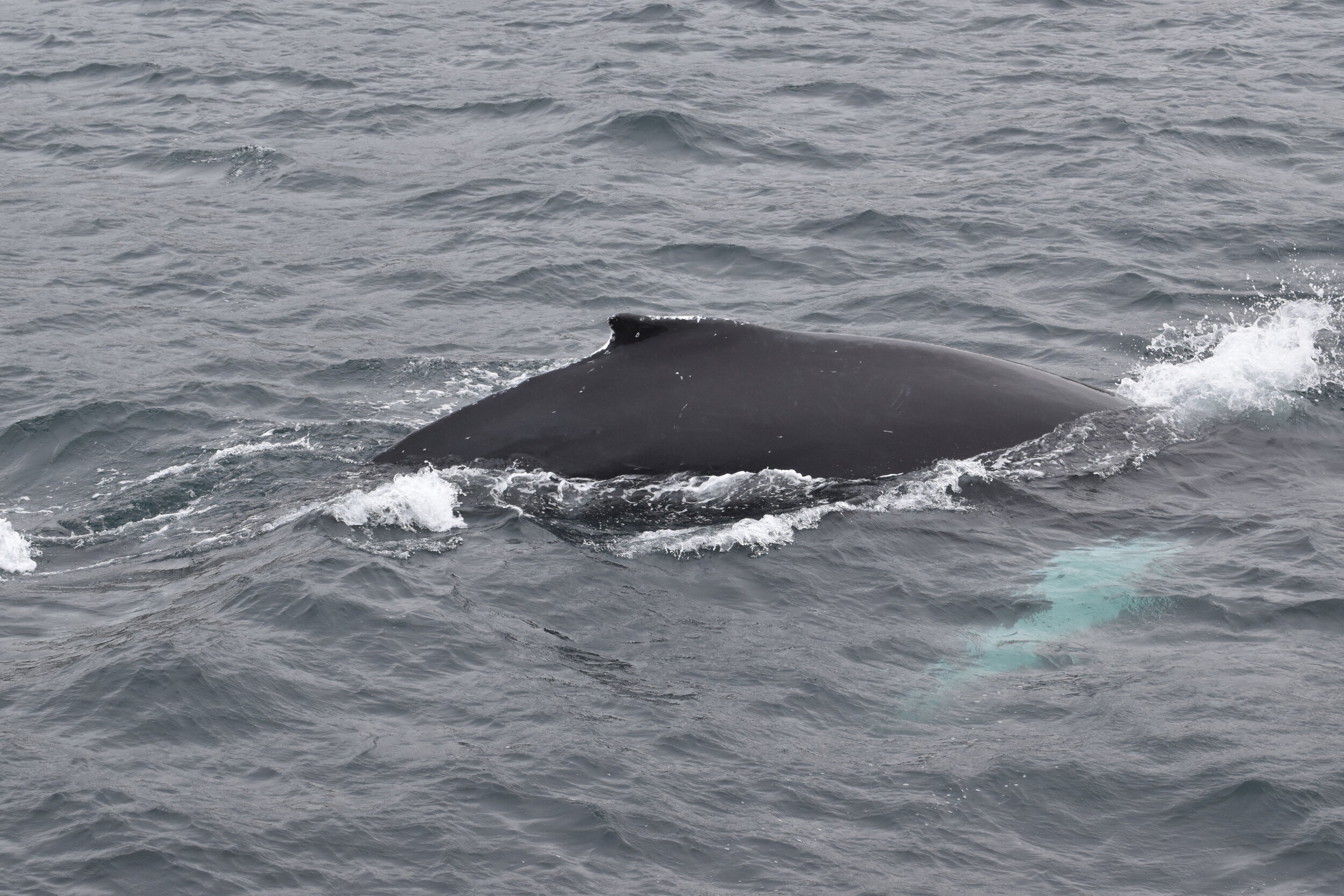 Tuesday, 21 September 2021