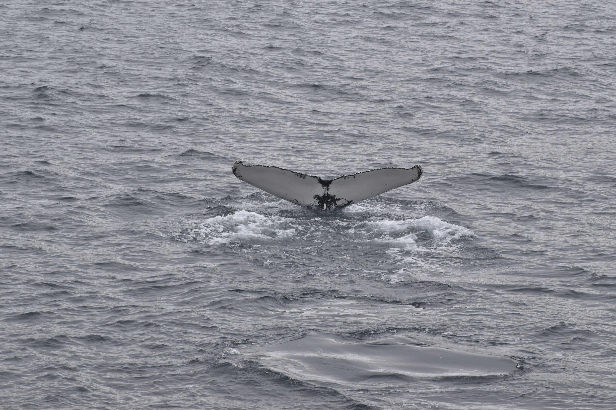 Tuesday, 21 September 2021