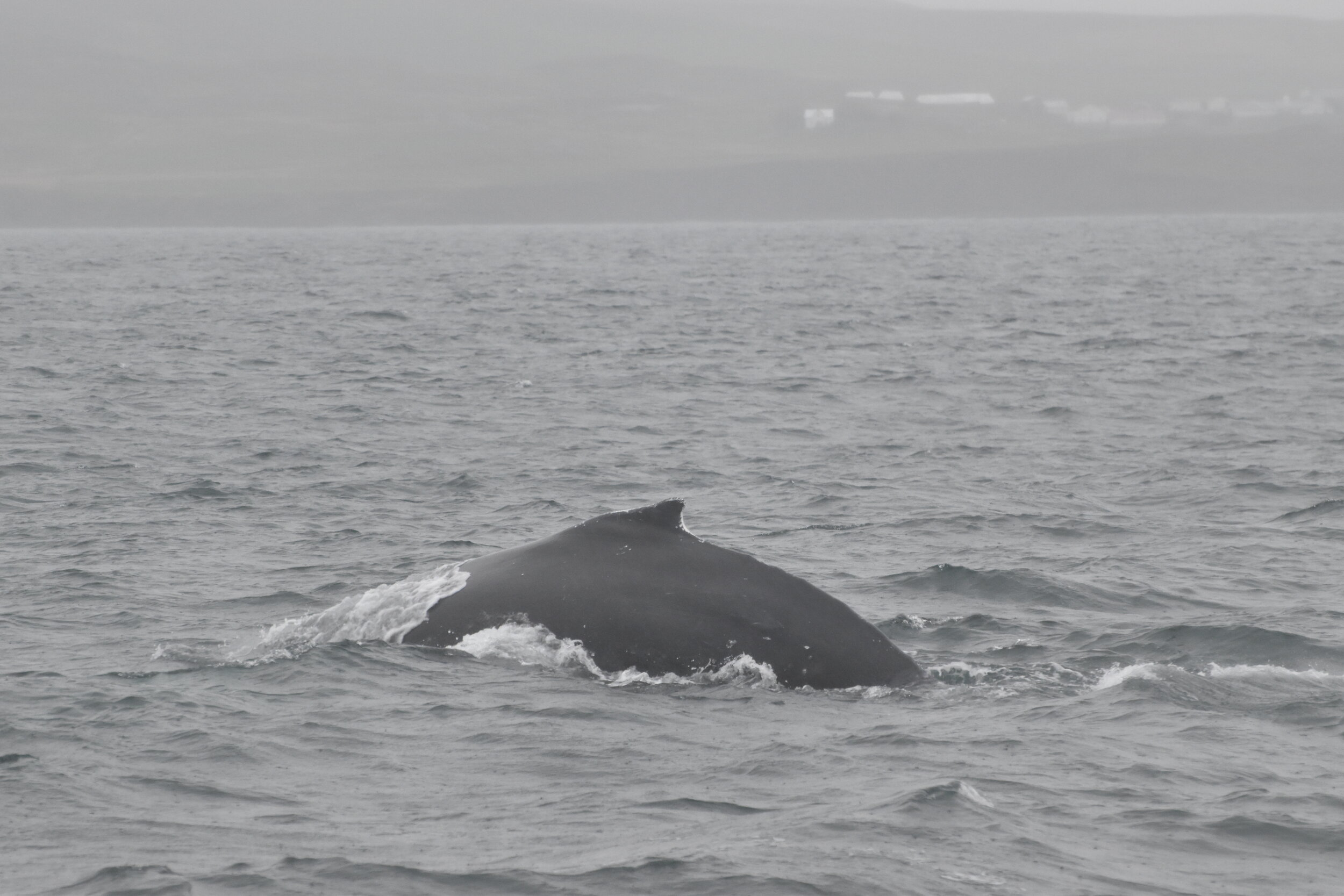 Monday, 27 September 2021