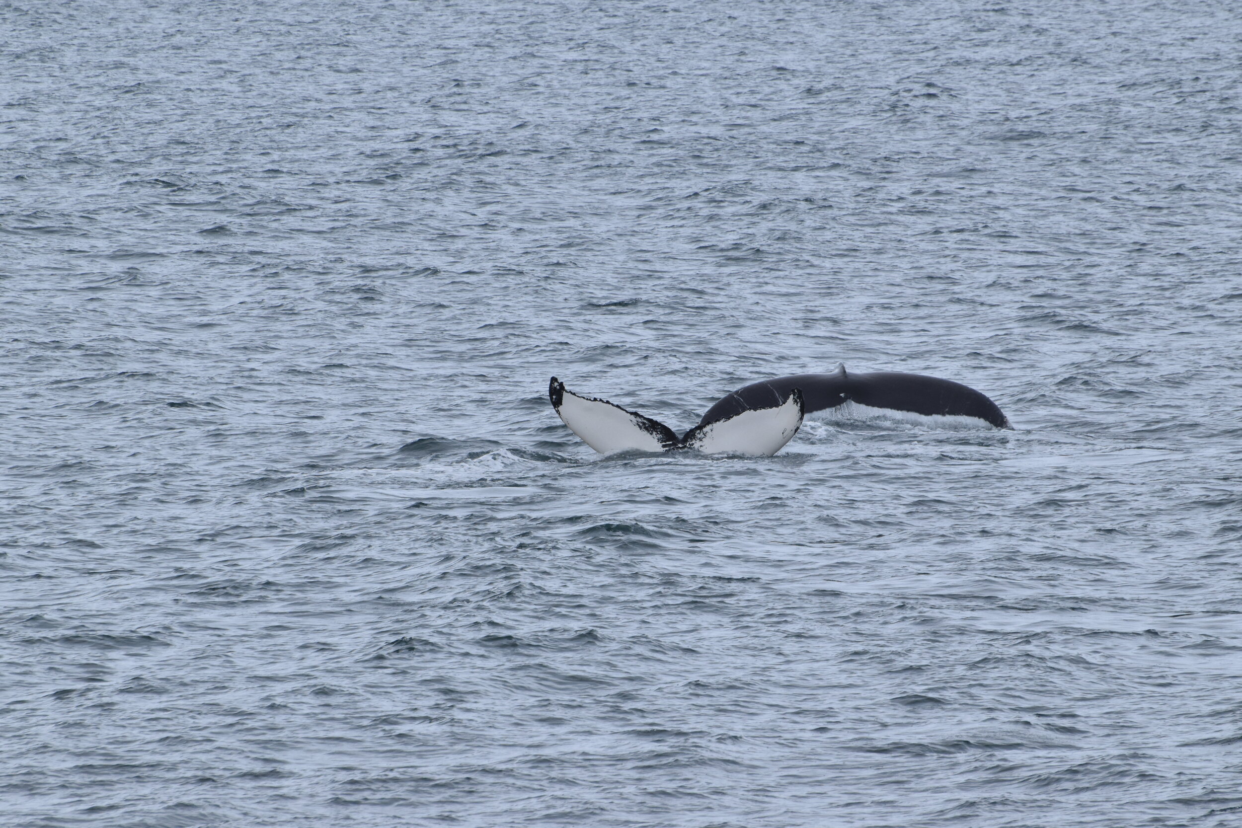 Wednesday, 29 September 2021