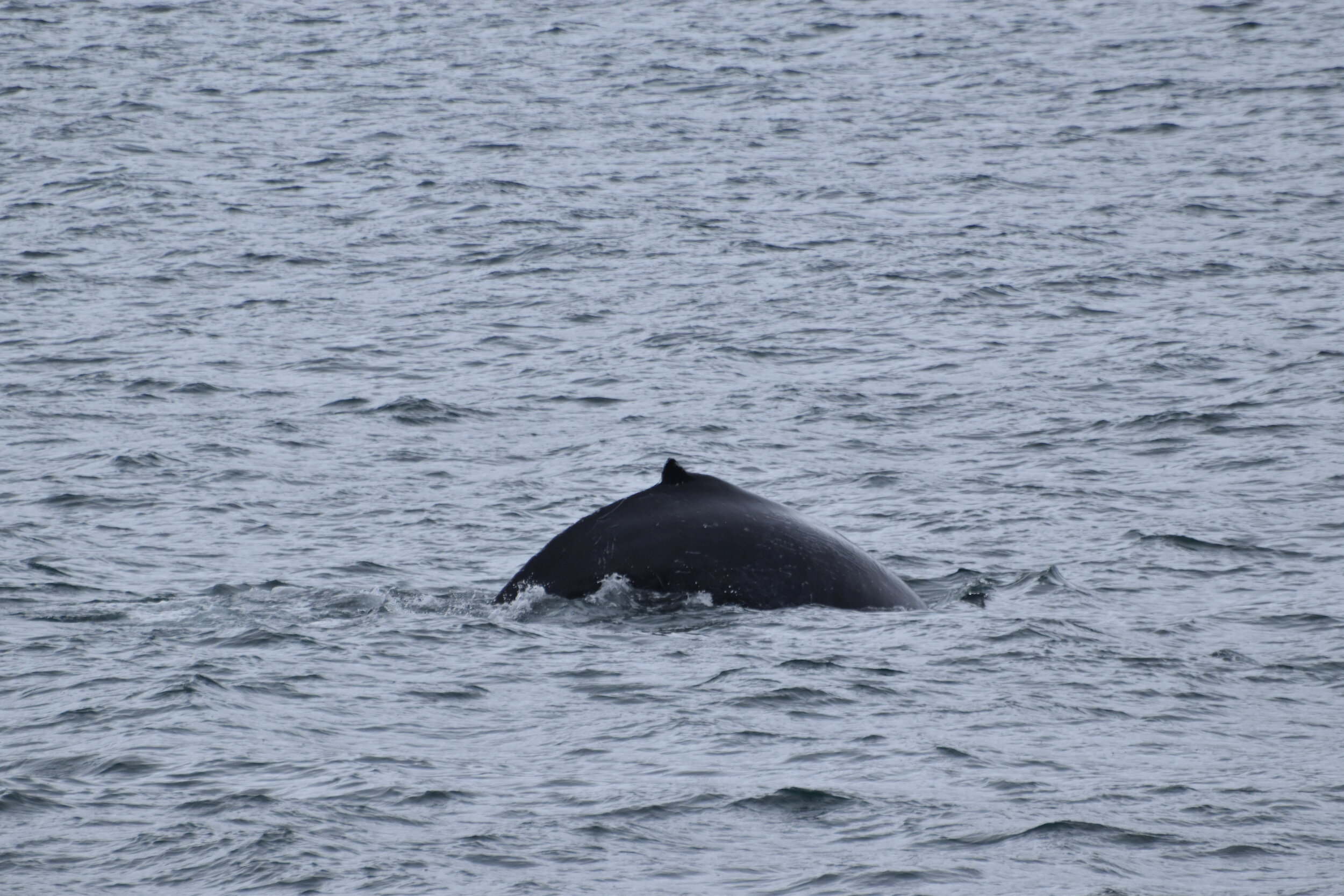 Thursday, 30 September 2021