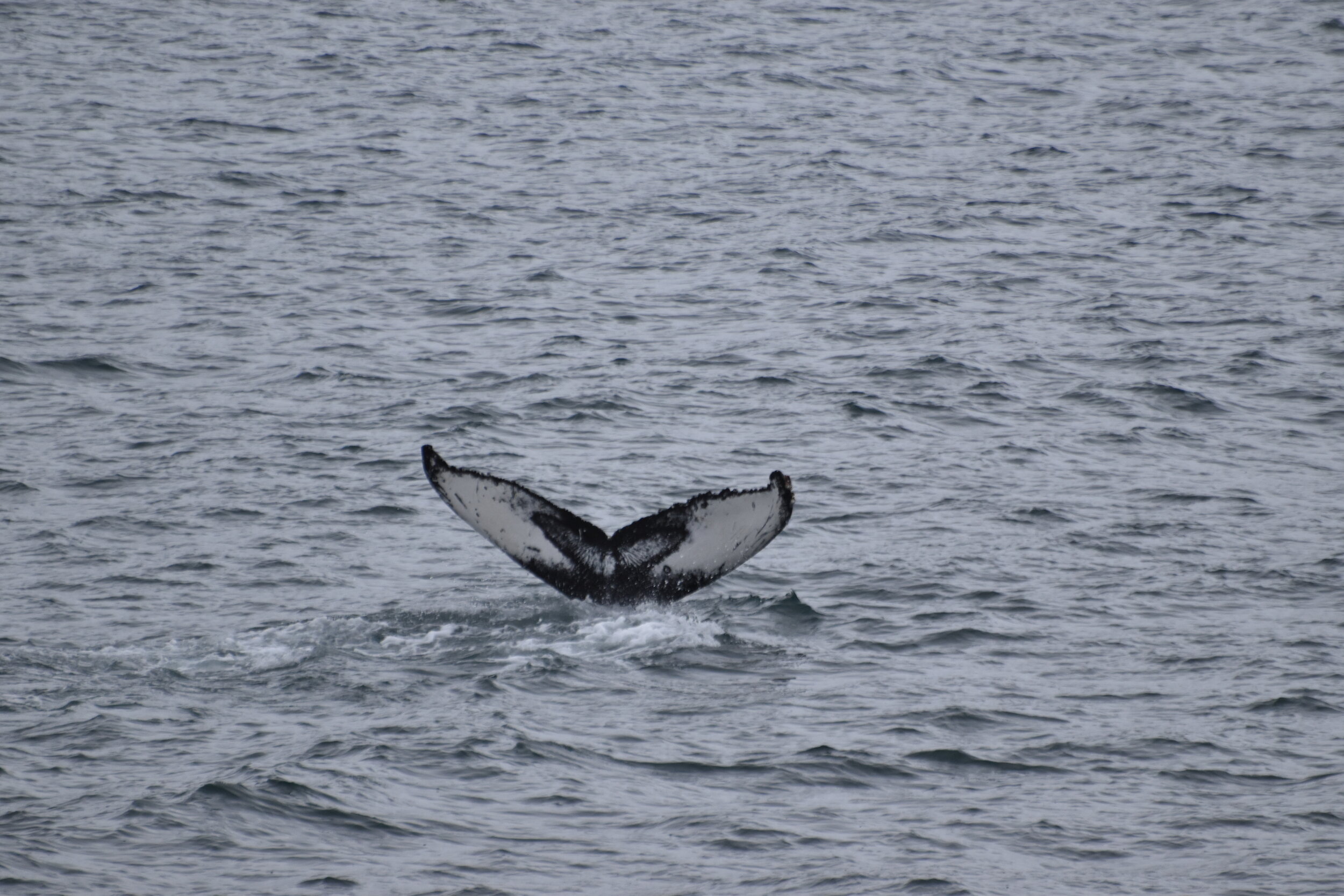 Thursday, 30 September 2021