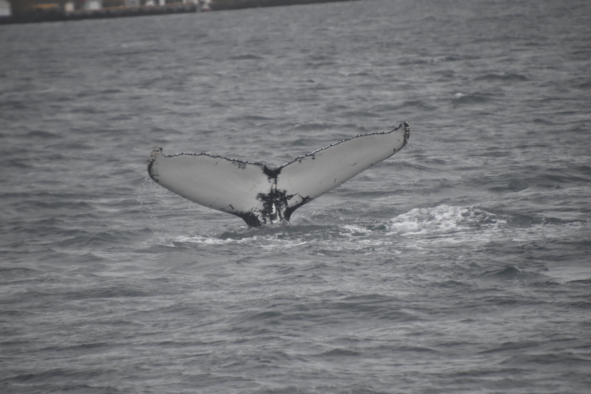 Thursday, 7 October 2021