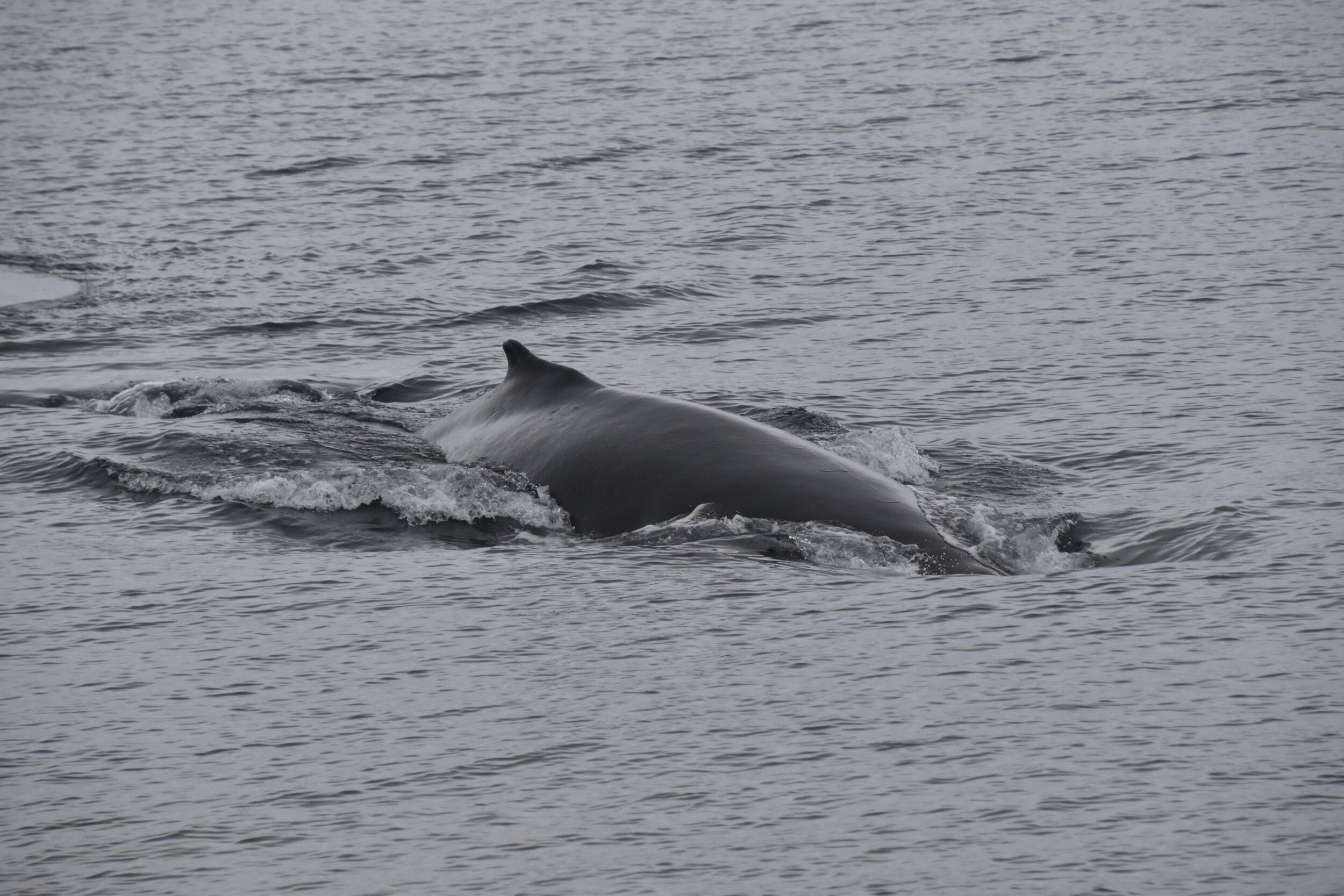 Tuesday, 12 October 2021