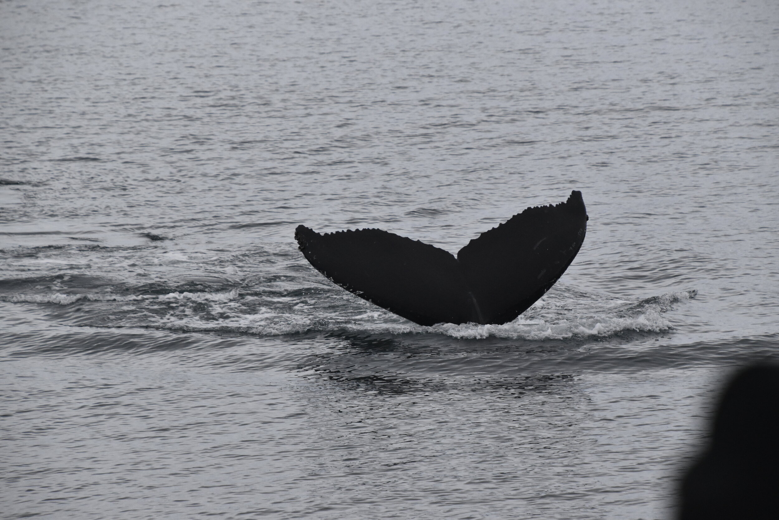 Tuesday, 12 October 2021