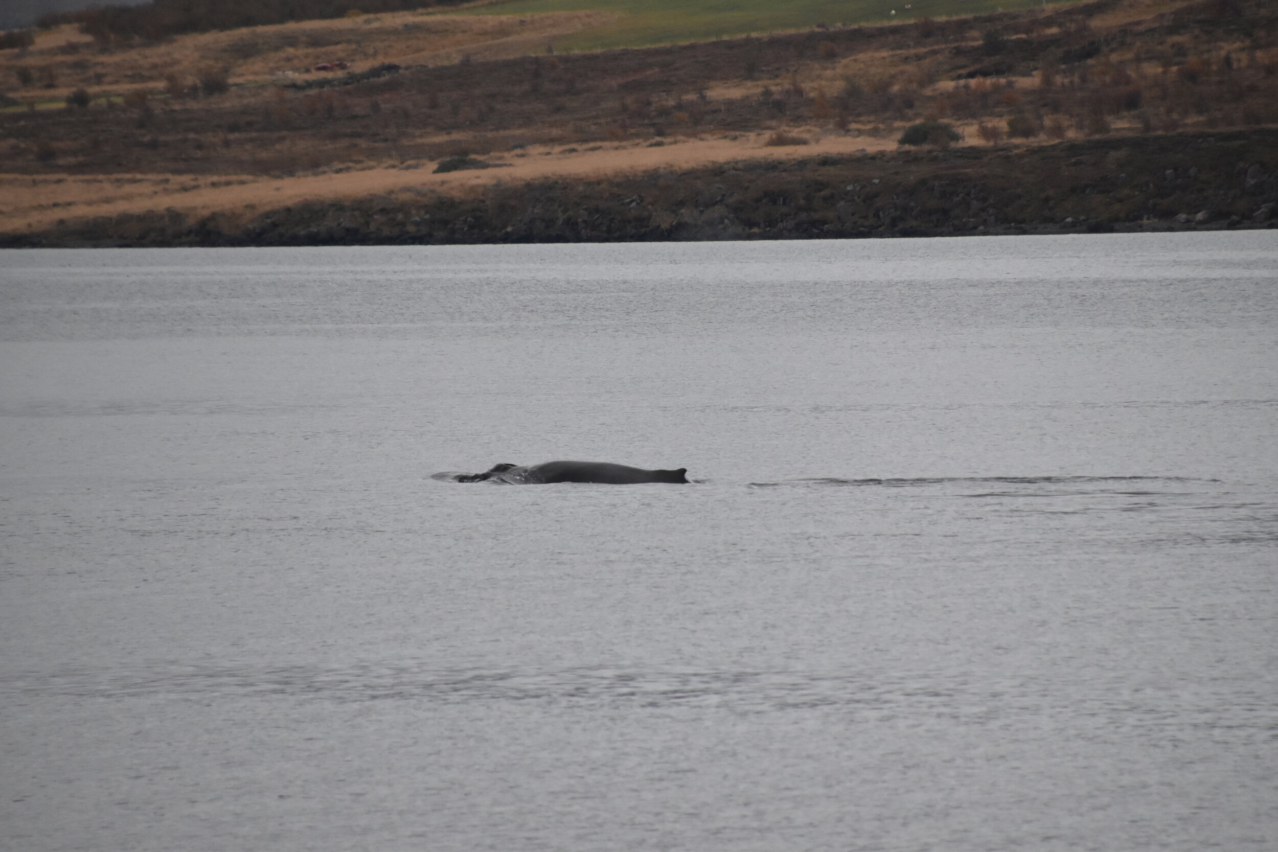 Tuesday, 12 October 2021