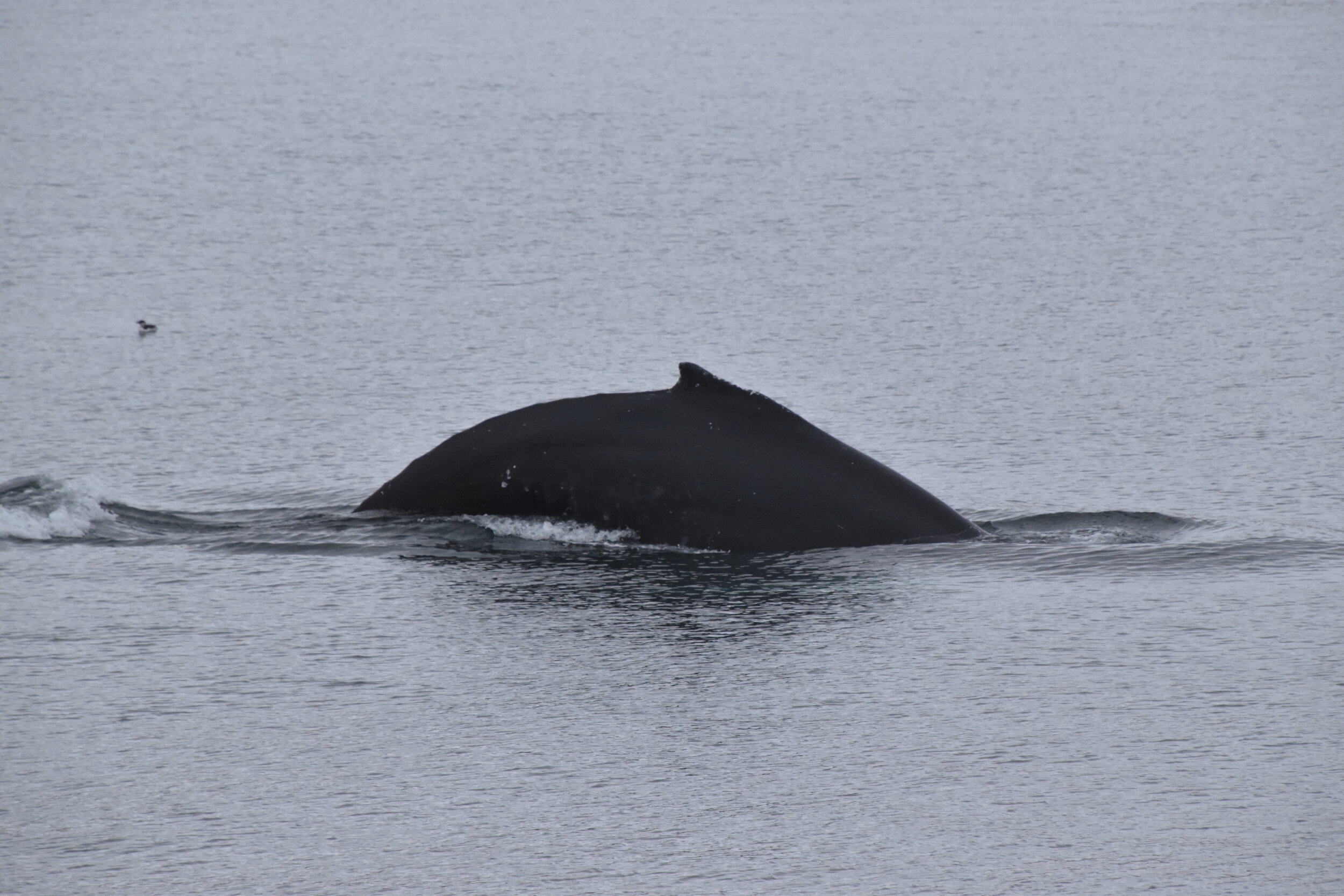 Monday, 18 October 2021
