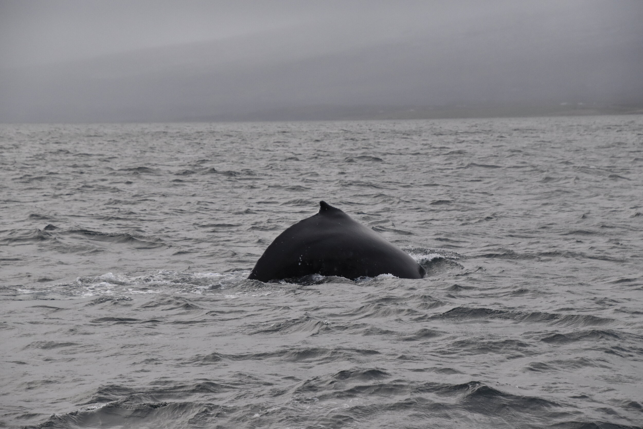Tuesday, 19 October 2021