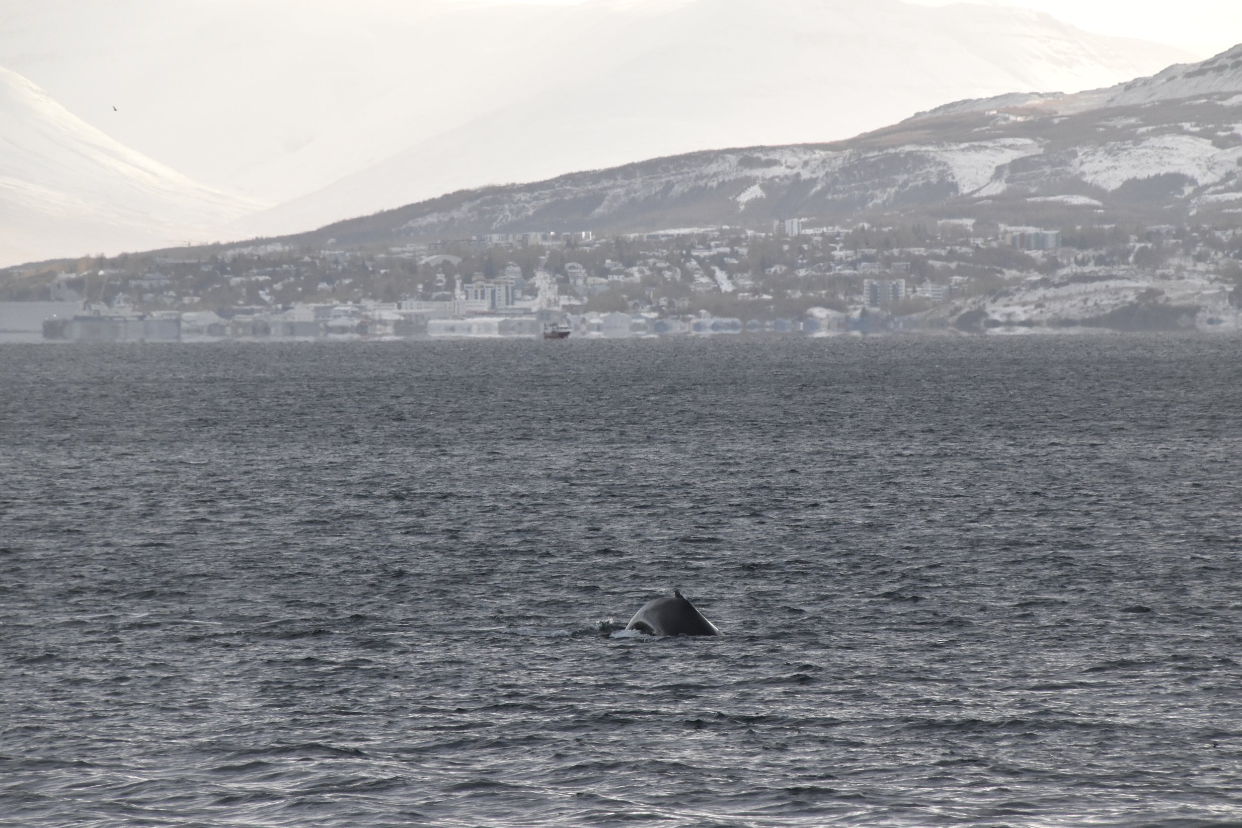 Wednesday, 20 October 2021