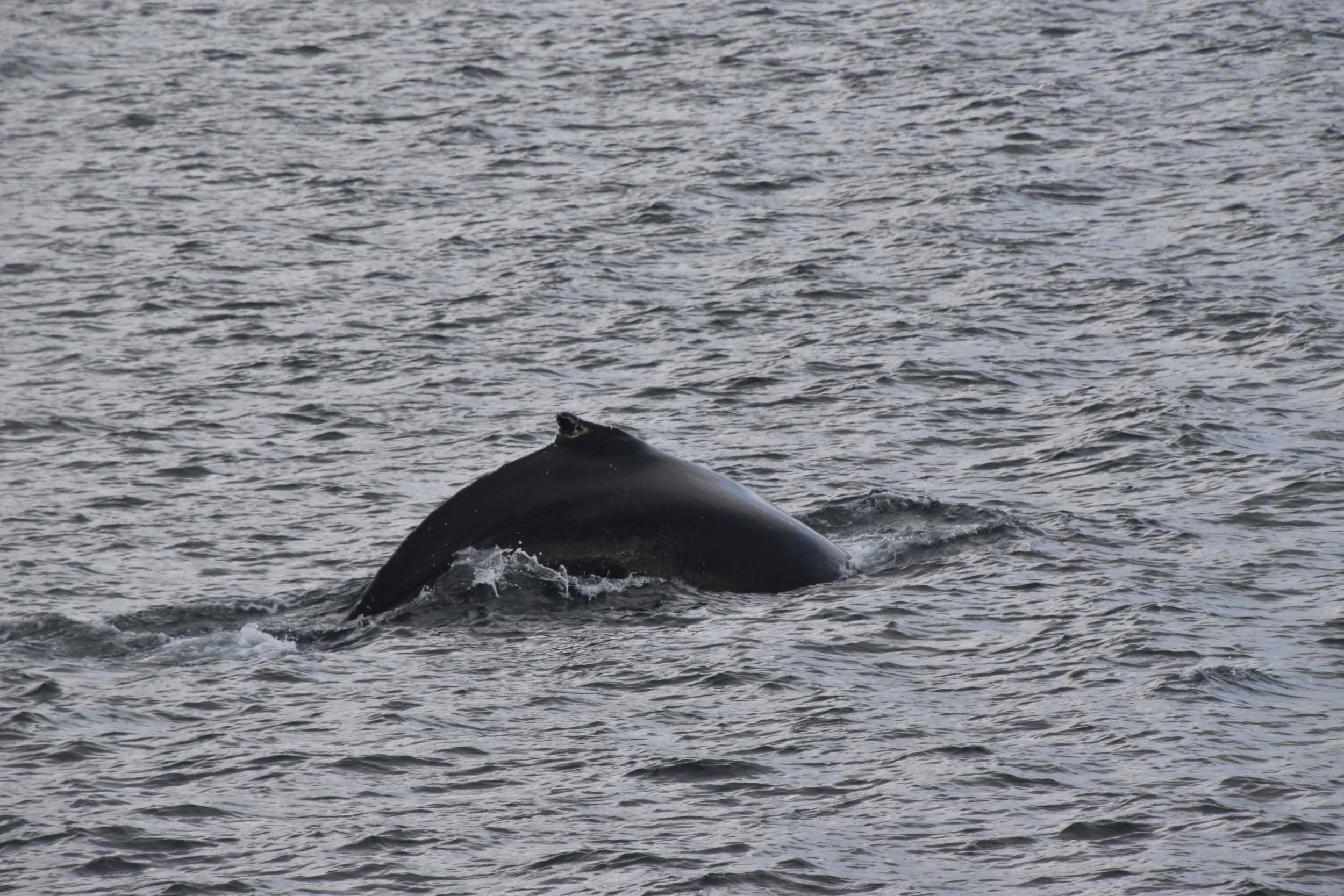 Wednesday, 20 October 2021