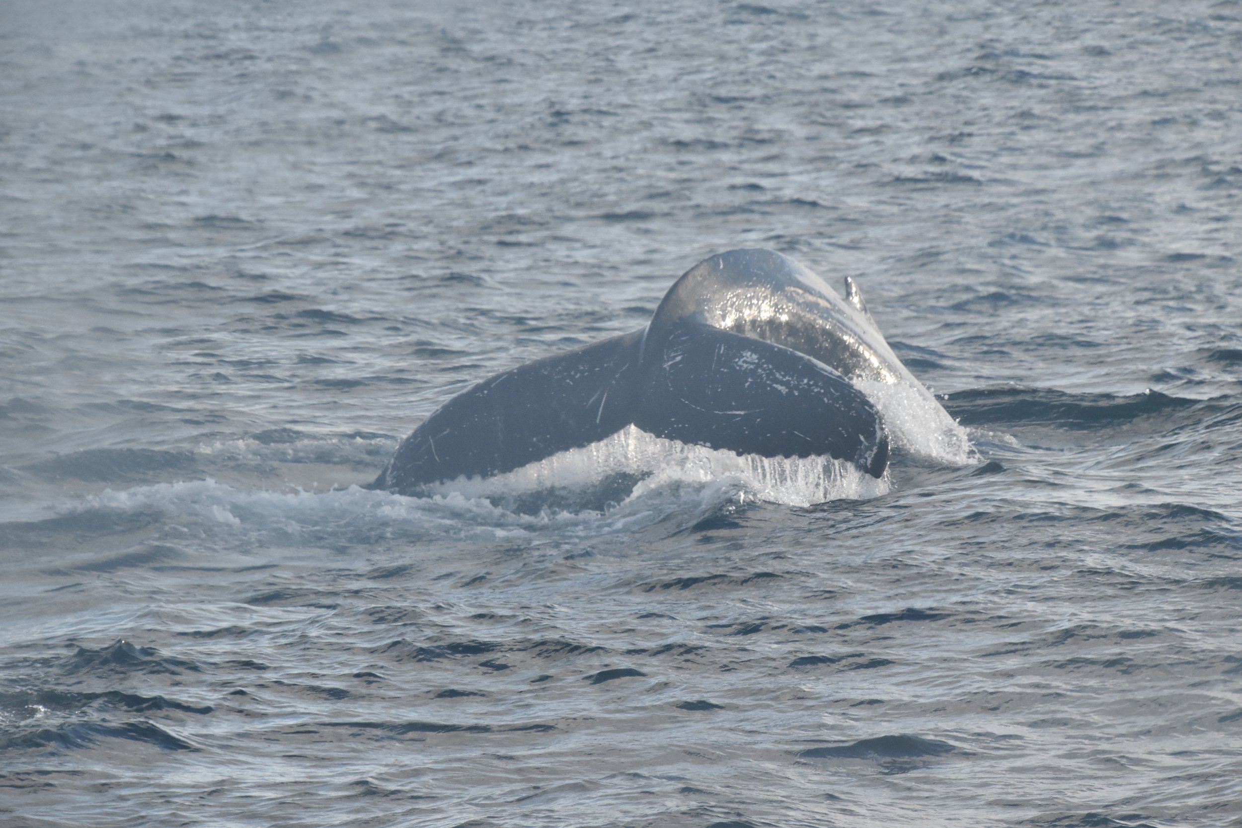 Monday, 25 October 2021