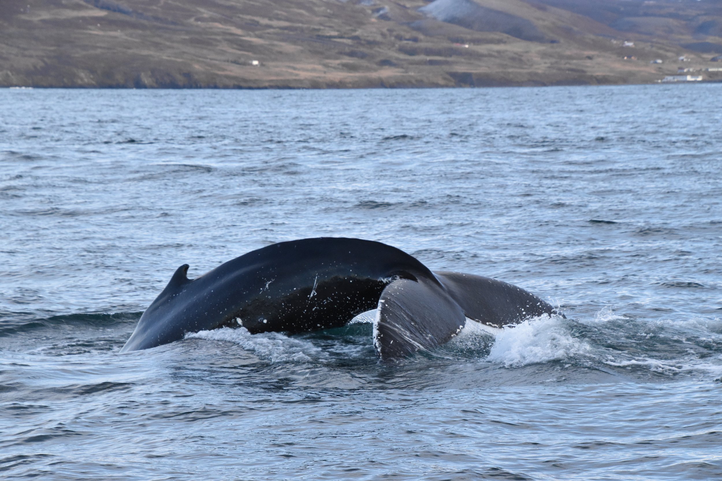 Tuesday, 26 October 2021