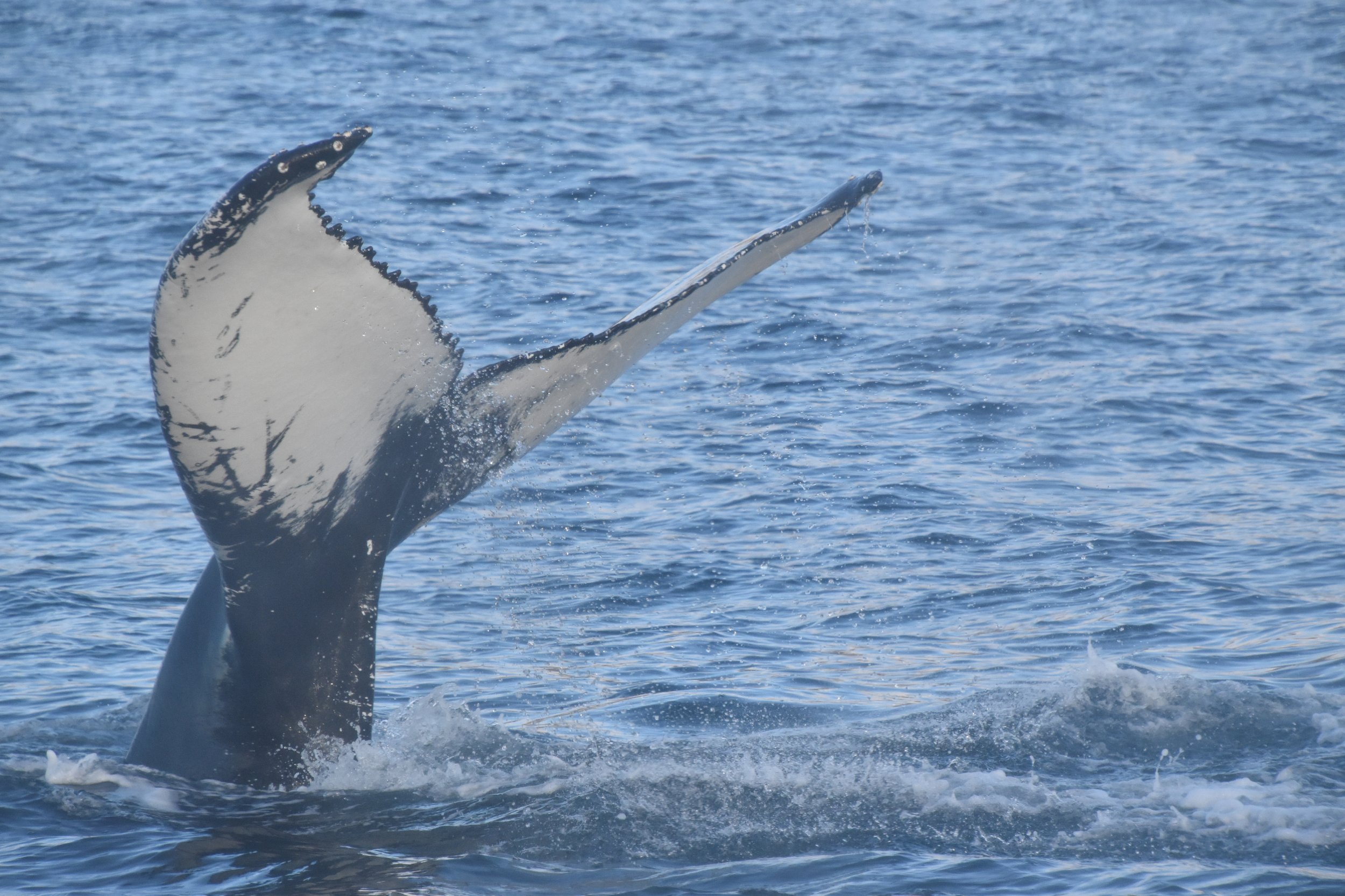 Tuesday, 26 October 2021