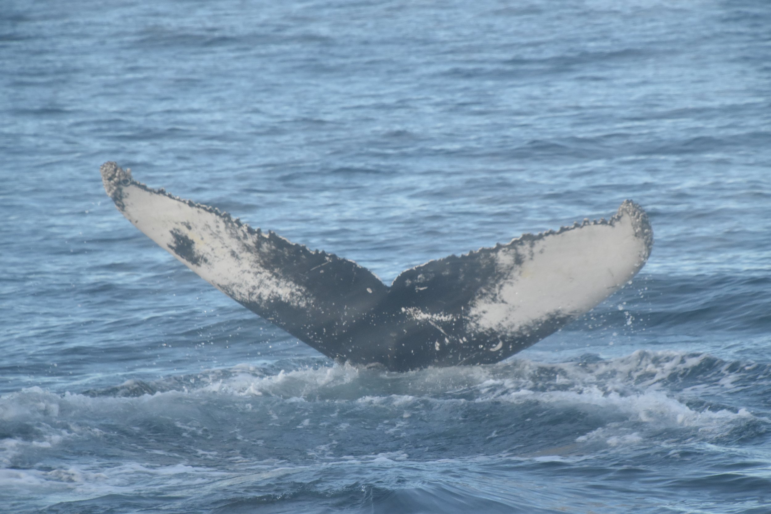 Tuesday, 26 October 2021