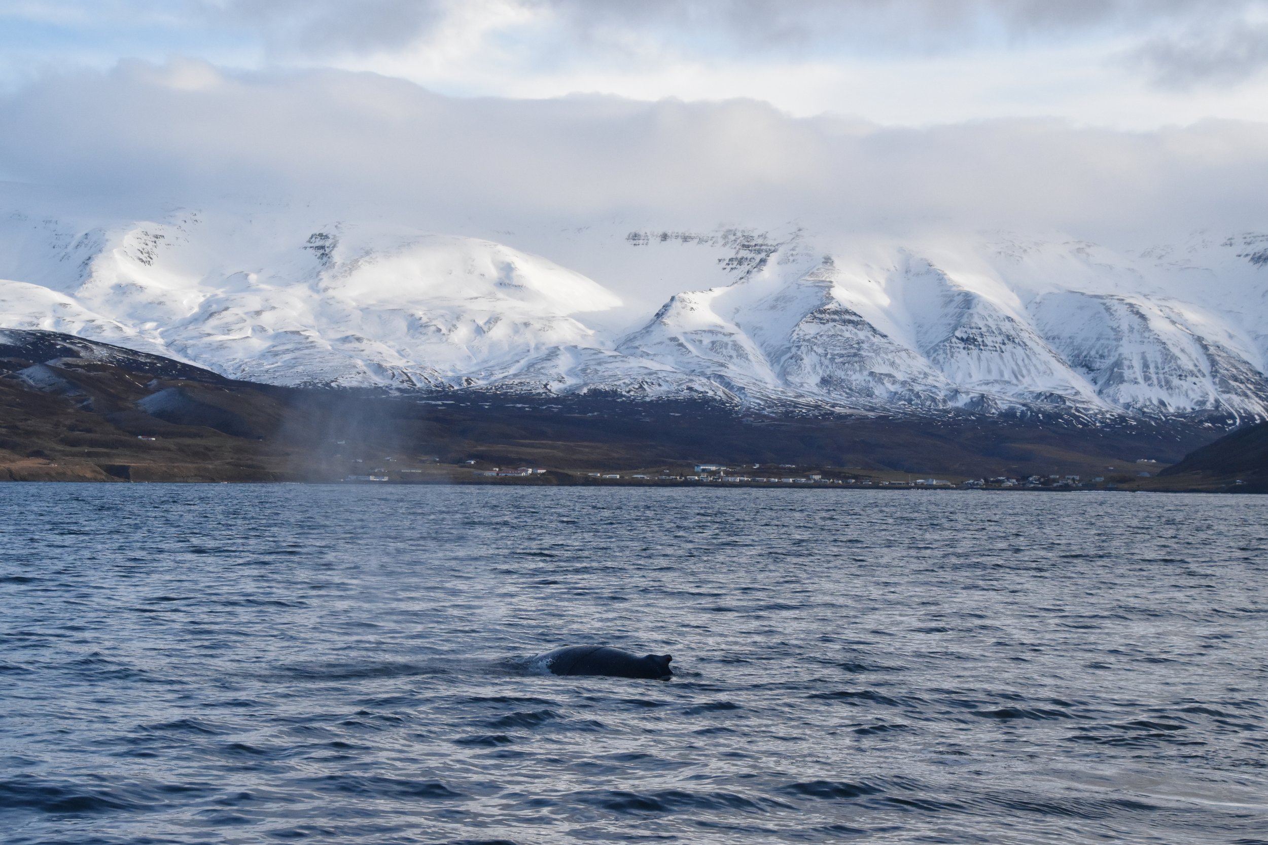 Tuesday, 26 October 2021