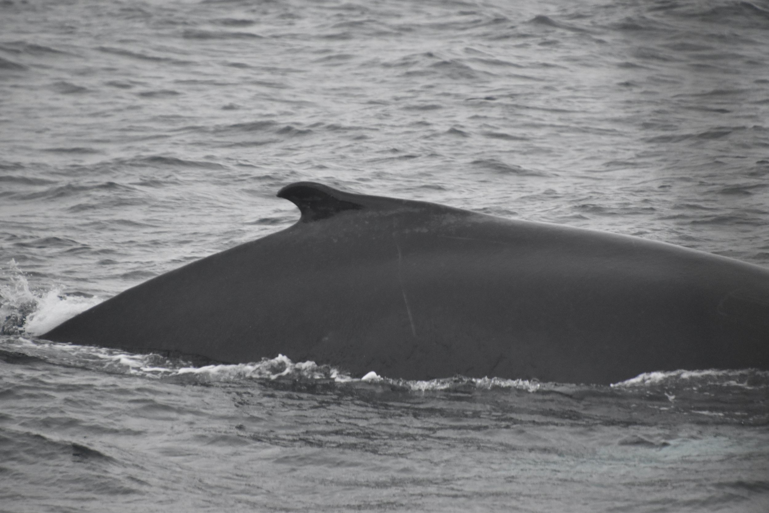 Wednesday, 27 October 2021