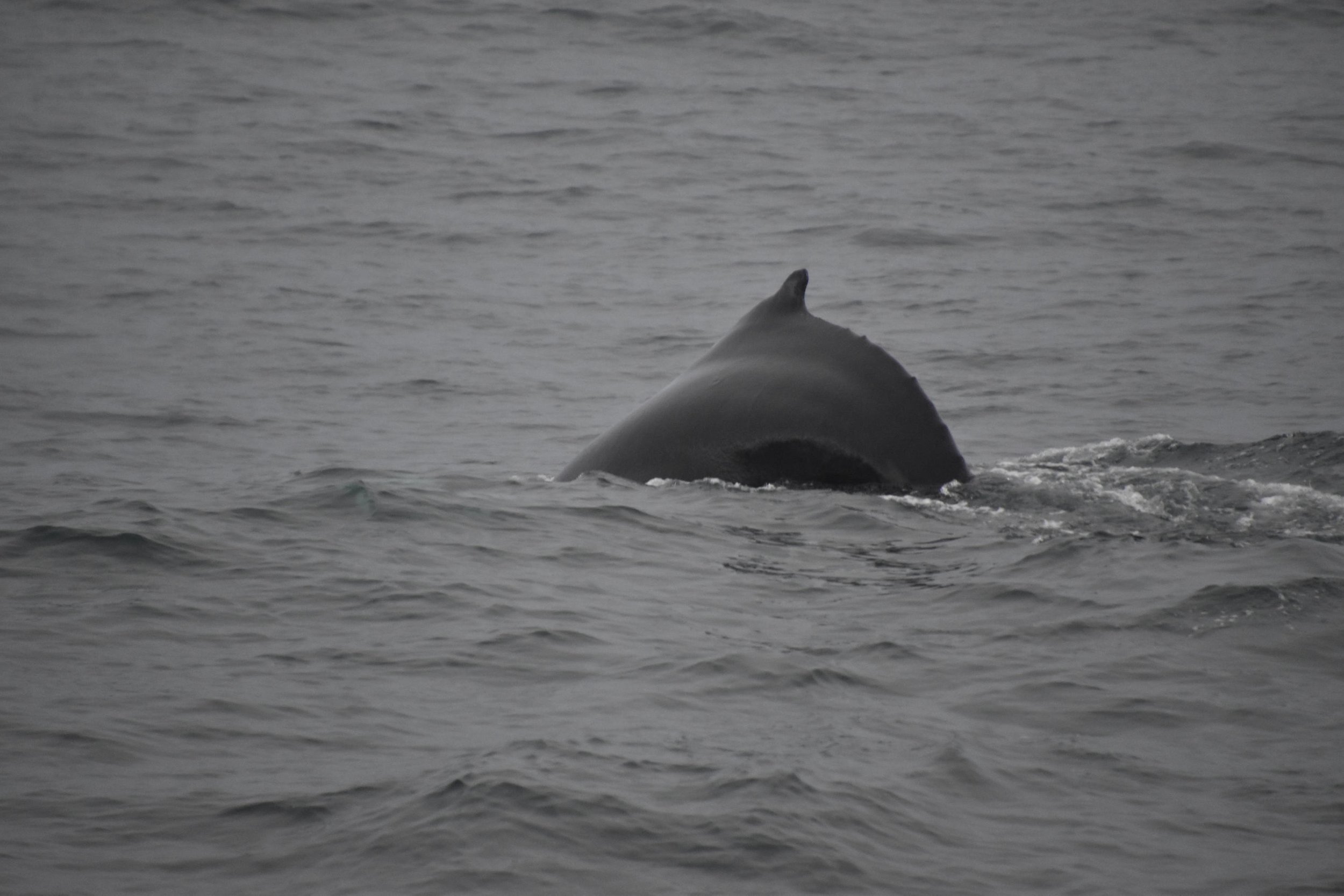 Tuesday, 9 November 2021