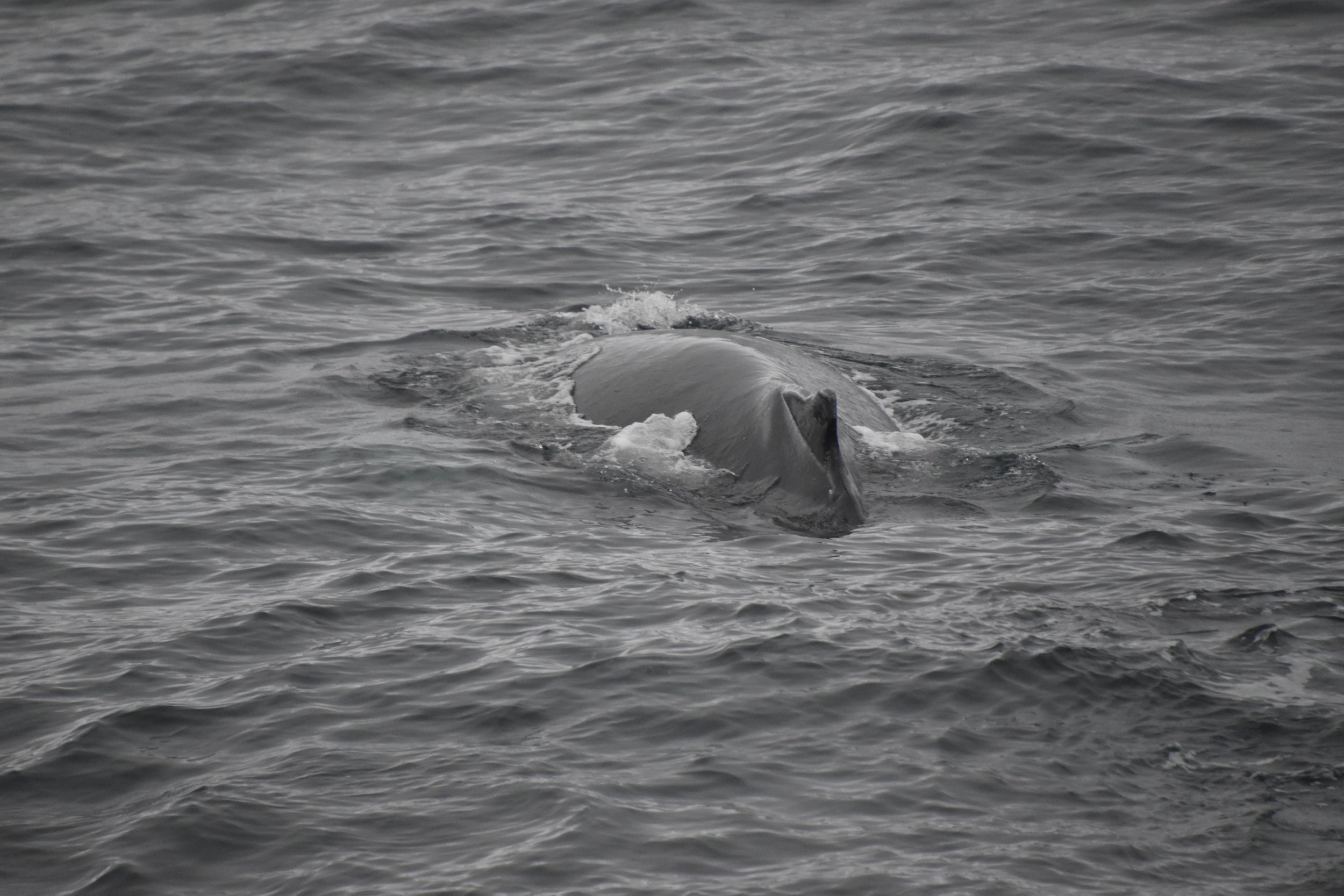 Tuesday, 9 November 2021