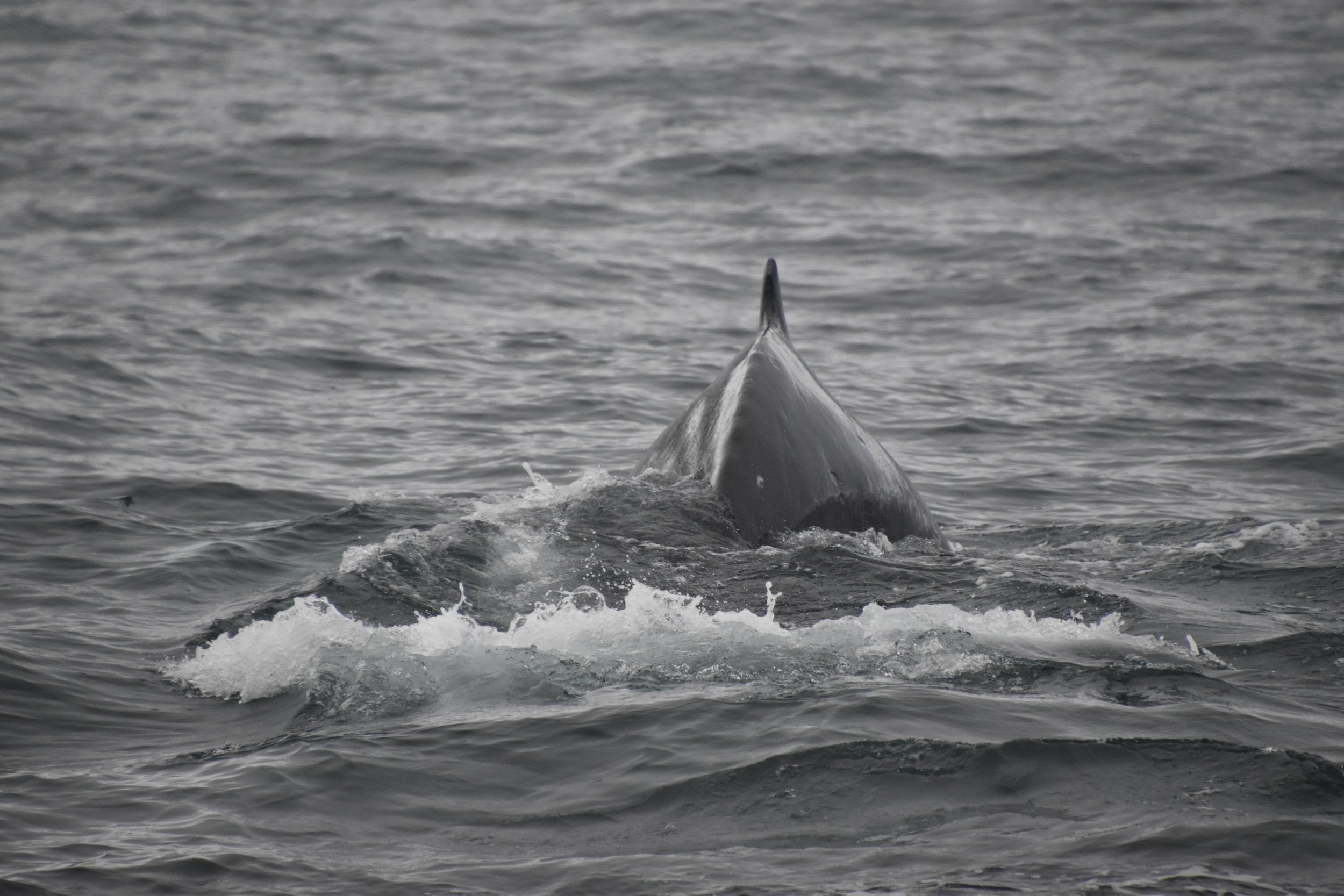 Tuesday, 9 November 2021