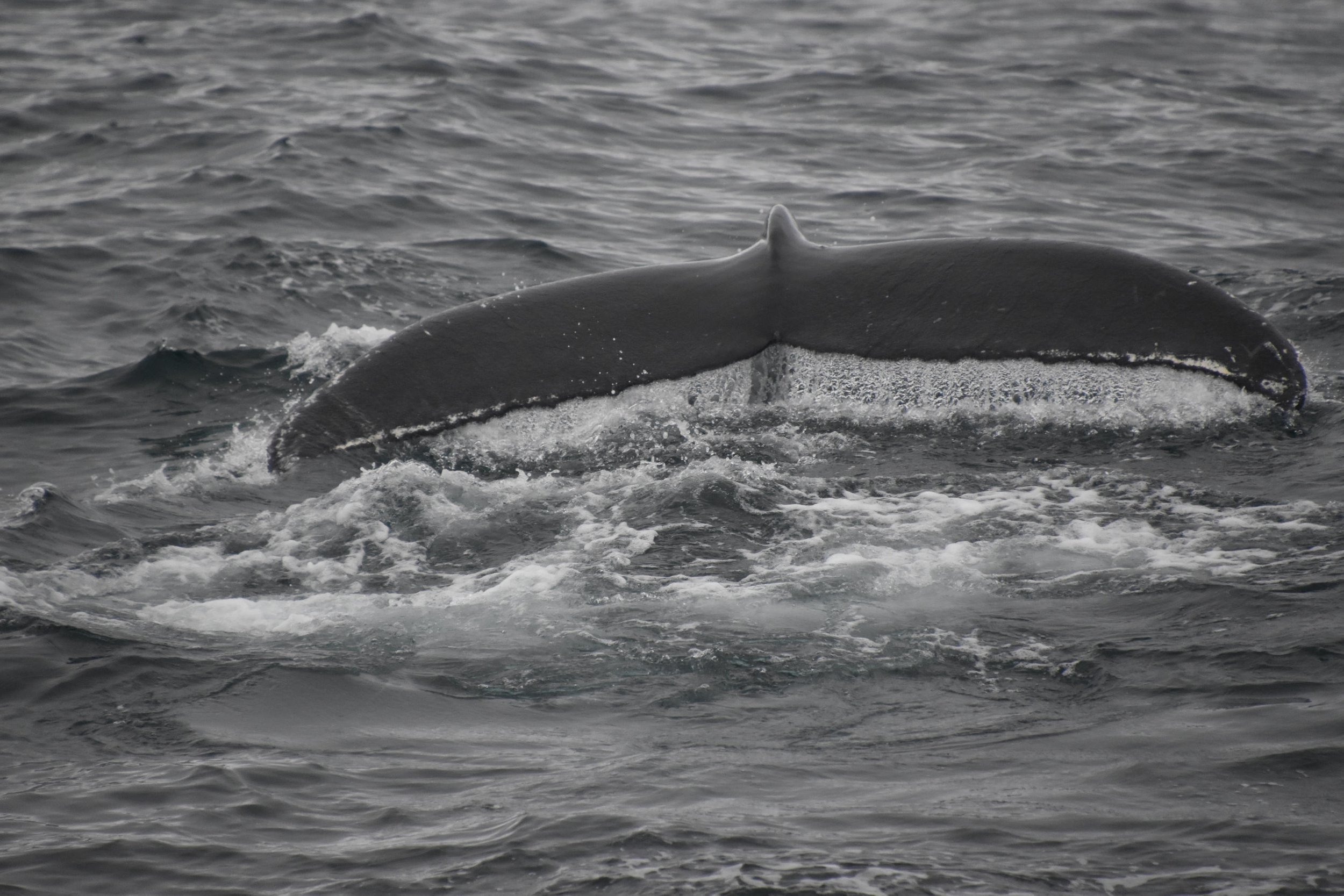Tuesday, 9 November 2021