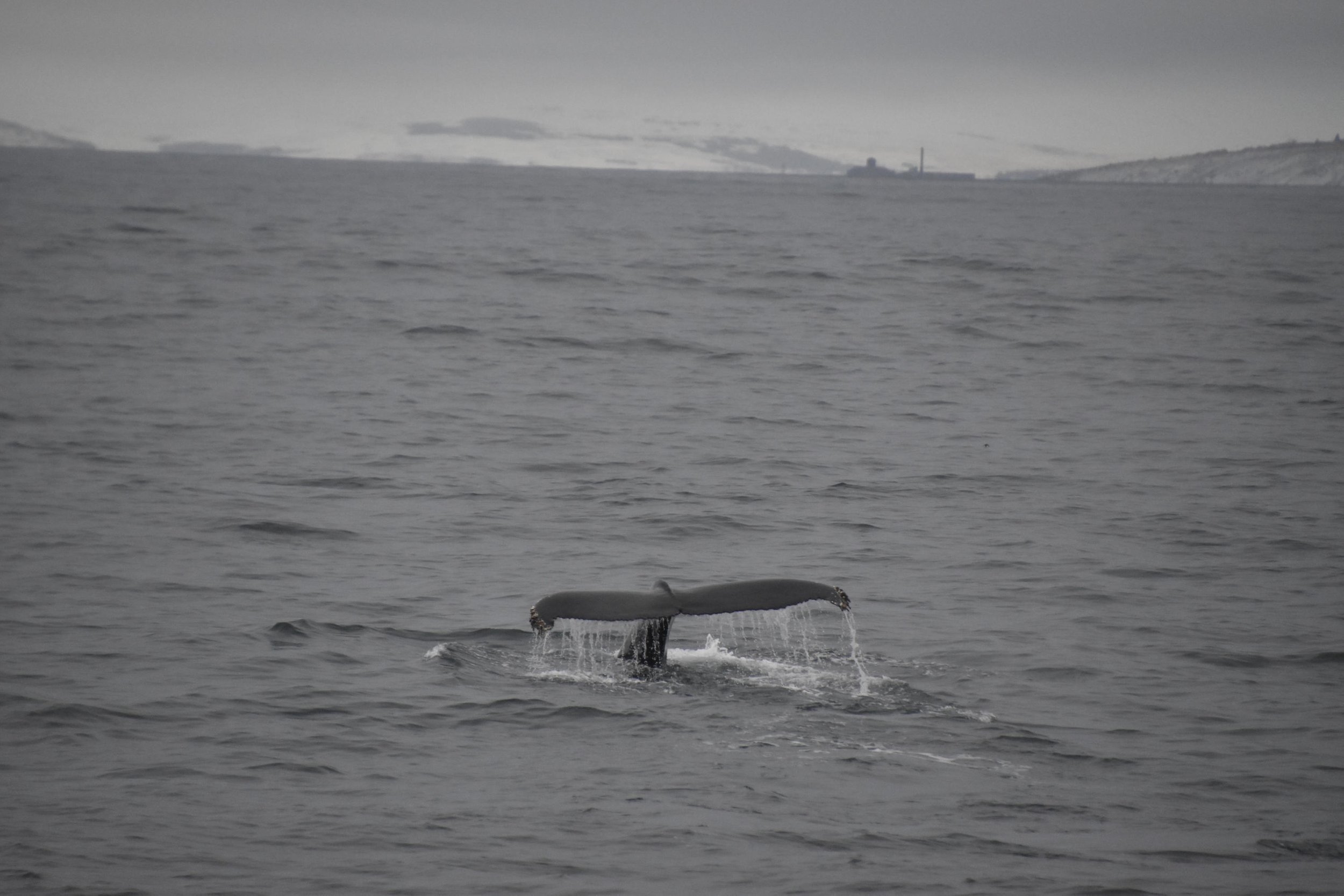 Tuesday, 9 November 2021